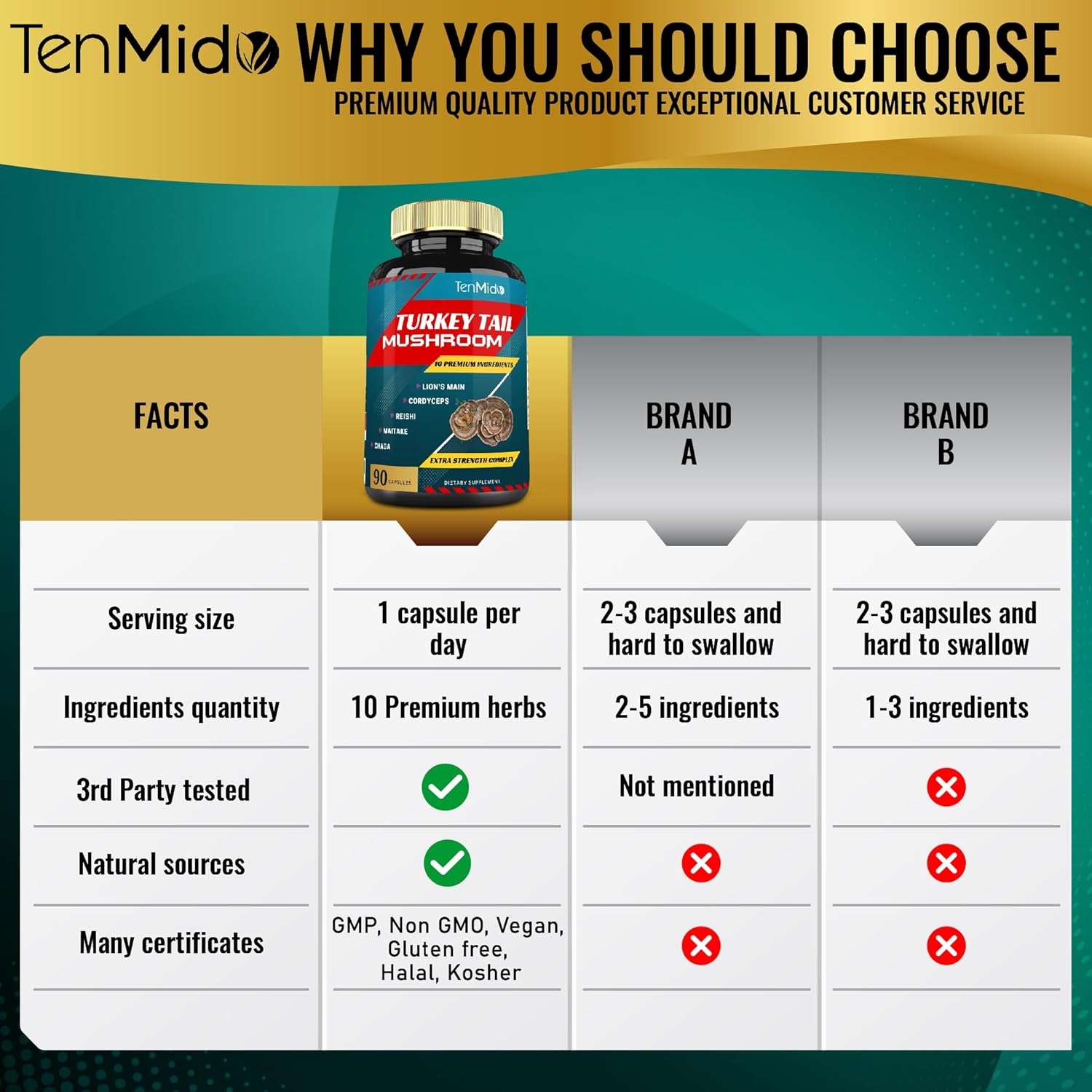 Turkey Tail Mushroom Supplement Extract with Lions Mane, Cordyceps, Reishi and More, 10 Herbs in 1 | Improves Digestive Function, Supports Immune System, 3 Months Supply