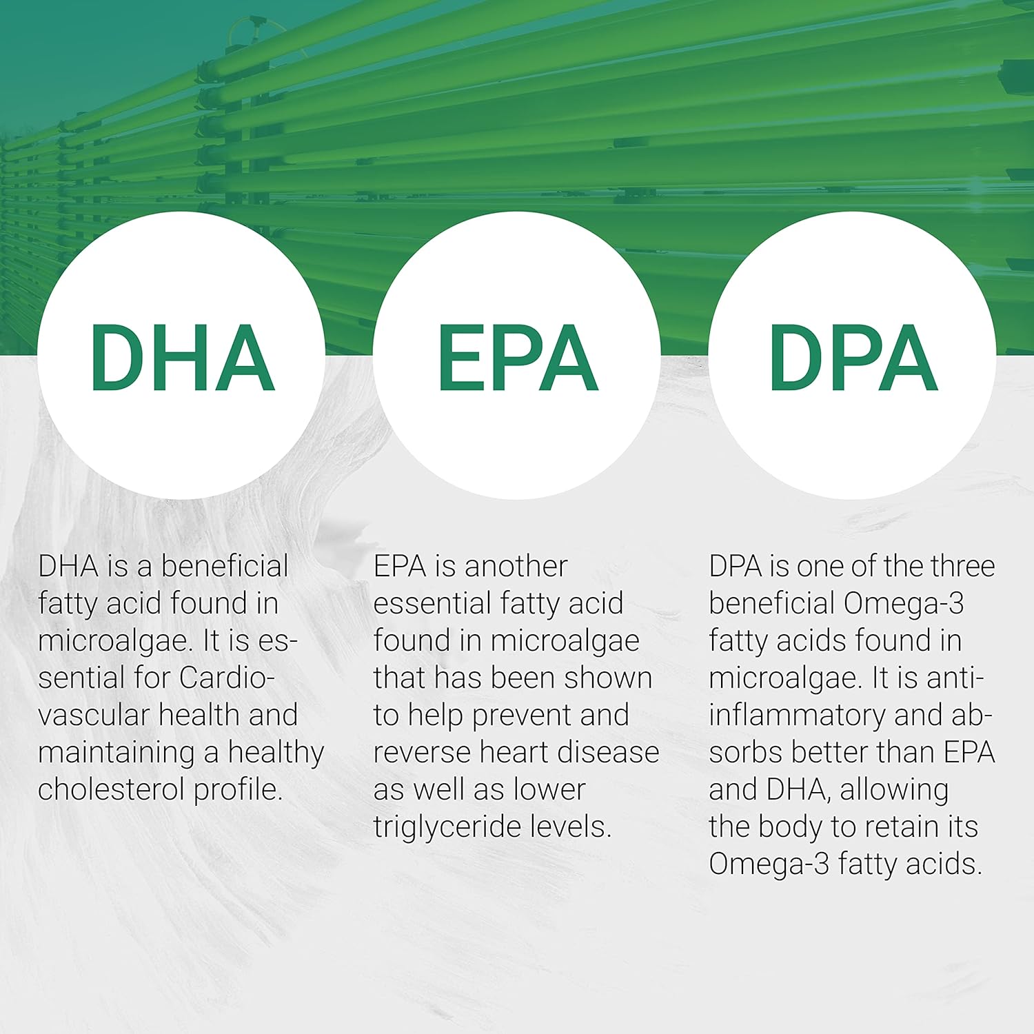 Vegan Omega 3 DHA, EPA & DPA from Algae | Vegan Society Certified, Sustainably Sourced, True Full Spectrum | 120 Veggie Softgels (Carrageenan Free)