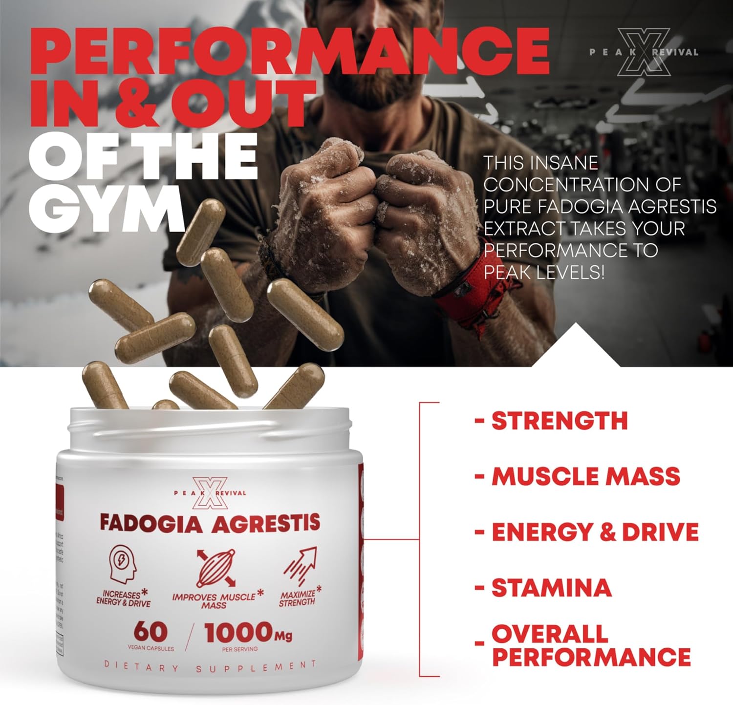 Fadogia Agrestis 1000mg Per Serving Supplement - Potent Extract to Increase Energy, Athletic Performance & Muscle Mass - Supplements, Made in The USA (60 Capsules)
