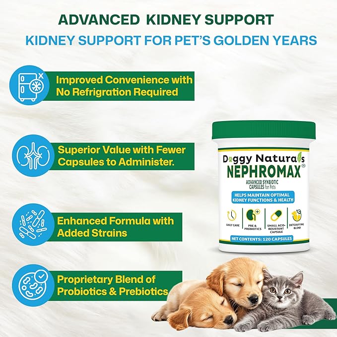 NEPHROMAX™ Kidney Support Supplement Synbiotic (360 Caps)
