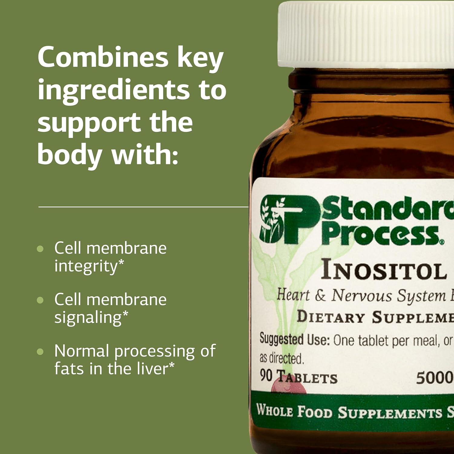 Standard Process Inositol - Supports Nervous System, Lipid Metabolism & Cardiovascular Health - Vegetarian, Gluten-Free, Non-Dairy & Non-Soy - 90 Tablets