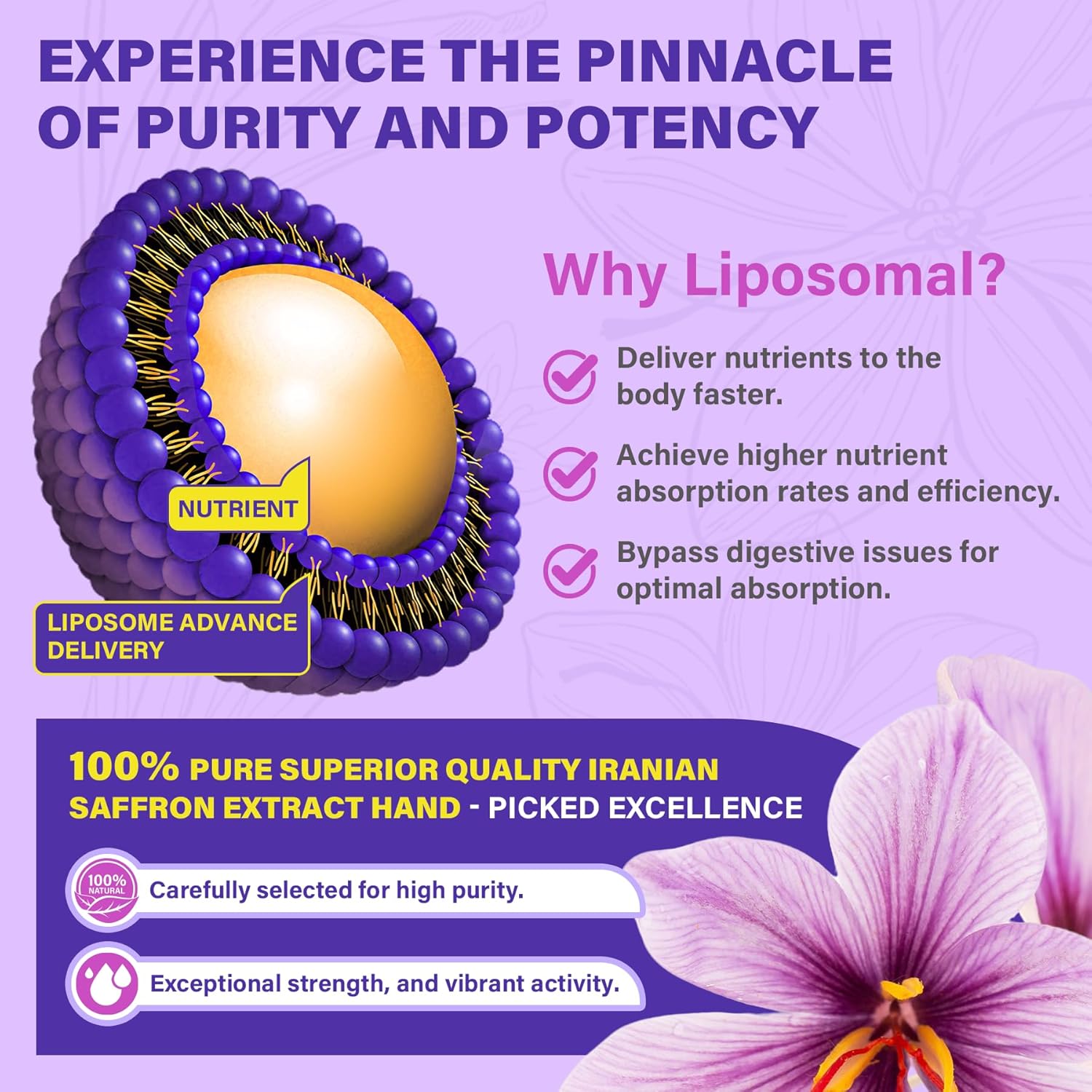 Saffron Supplements - 100mg Liposomal High Absorption 100% Pure Saffron Extract with Magnesium Glycinate, Omega-3, Turmeric, Ashwagandha, Vitamin B6, B12, D3 for Mood, Brain - 60 Softgels.