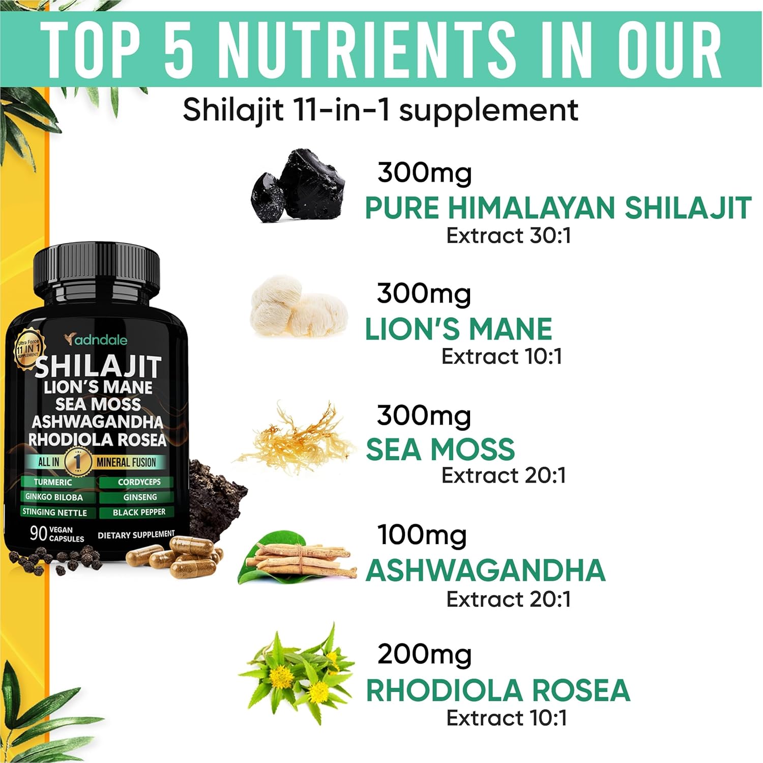 Adndale Shilajit Ultra Force 11-in-1. Pure Himalayan Organic Shilajit for Men and Women Capsules with Sea Moss Ashwagandha Rhodiola Rosea Lion’s Mane. 90 Count