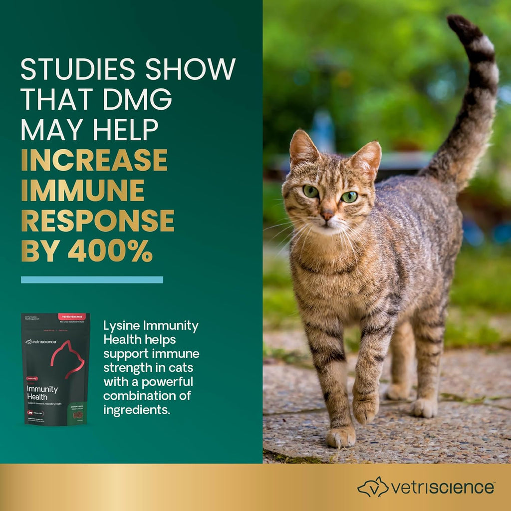 VetriScience Lysine Immunity Health Chews, 250 mg Lysine Plus Immune Supplement for Cats and Kittens with Allergies, Sneezing, Runny Nose and Watery Eyes, Chicken, 120 Count