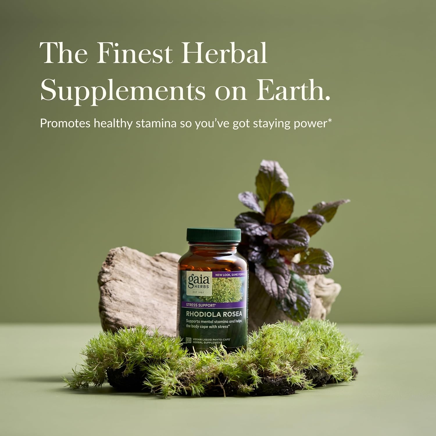 Gaia Herbs Rhodiola Rosea - Stress Support Supplement Traditionally for Supporting Healthy Stamina & Endurance - with Siberian Rhodiola Root Extract* - 120 Vegan Liquid Phyto-Capsules (60-Day Supply)