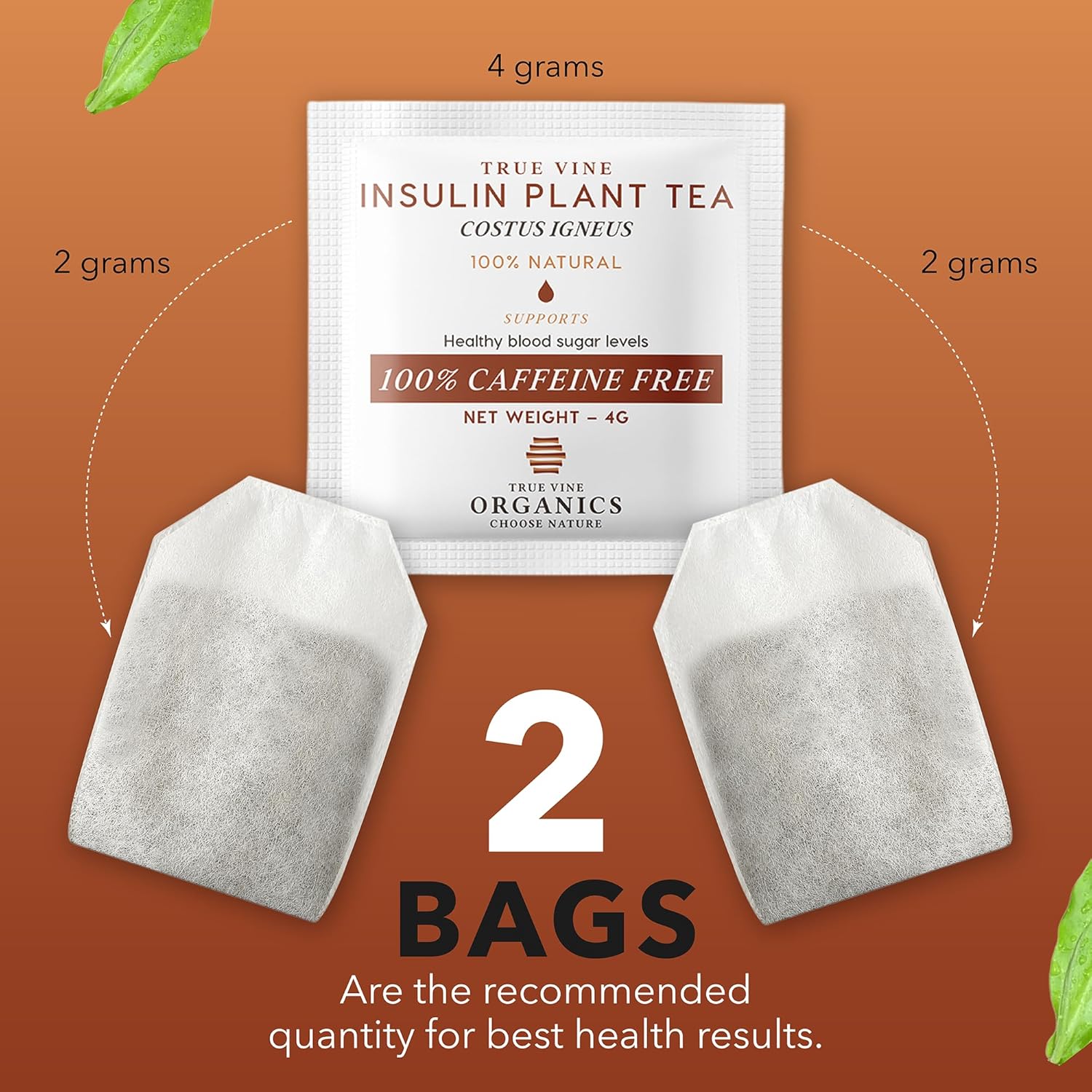 True Vine Insulin Plant Tea (USDA Organic) — Herbal Organic Tea Bags for Blood Sugar Support, Digestive Wellness & Metabolic Balance — 100% Natural, Caffeine-Free, No Additives – 31 Sachets (4g Each)