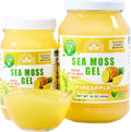 Wildcrafted Irish Sea Moss Gel | Made in USA | Rich in Vitamins & Minerals | Sea Moss Gel Raw | Nutritional Supplement | Pineapple (16 oz)