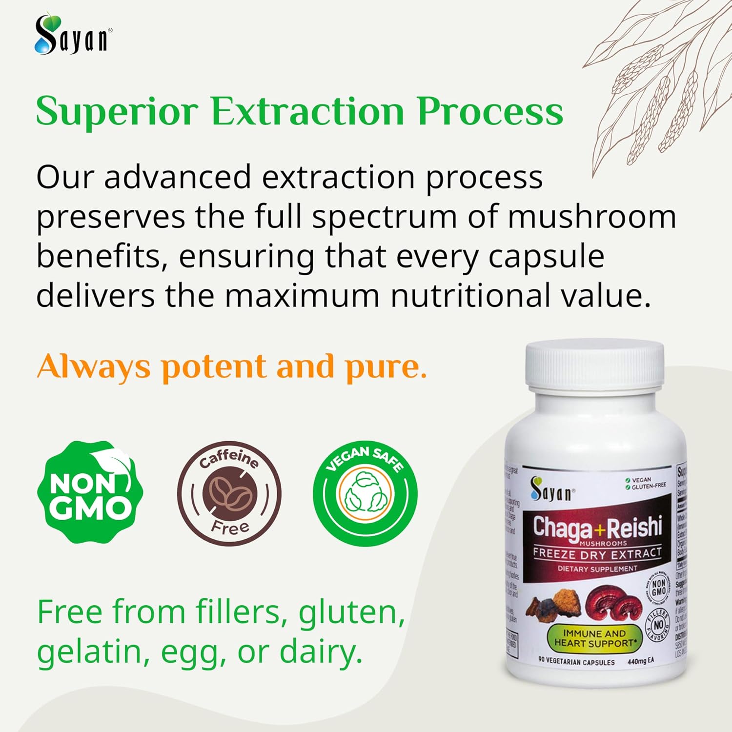 Sayan Siberian Chaga and Organic Reishi Mushroom Extract Supplement – 90 Capsules/440mg Each - Wild-Harvested, Antioxidant Blend for Immune System Support + Natural Energy Boost, Non-GMO, Gluten Free