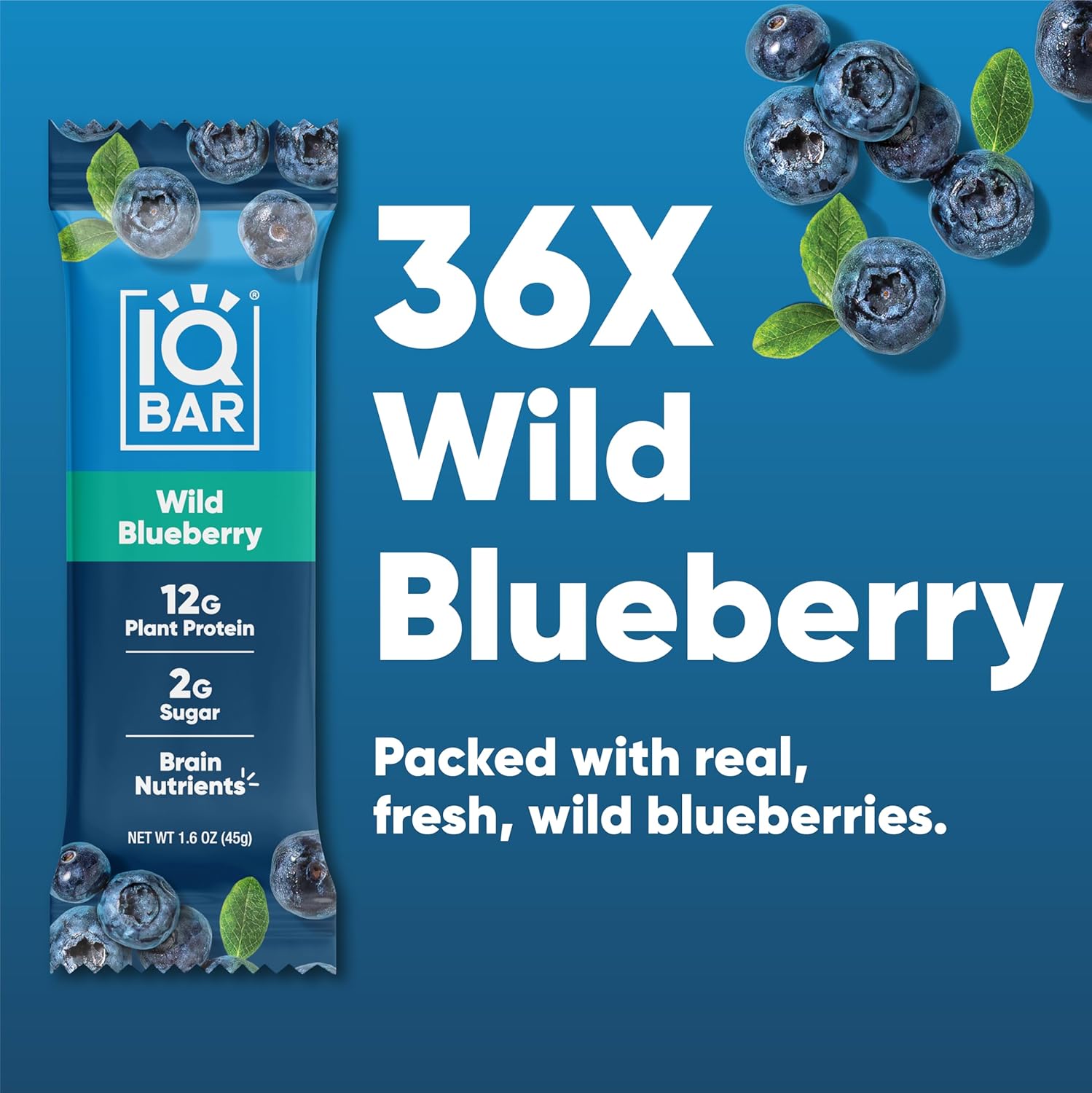 IQBAR Brain and Body Plant Protein Bars - Wild Blueberry - 36-Count - Keto, Vegan, Low Carb, High Fiber, Gluten Free, Dairy Free, Low Sugar Snack with Nutrients for Focus, Energy, Meal Replacement