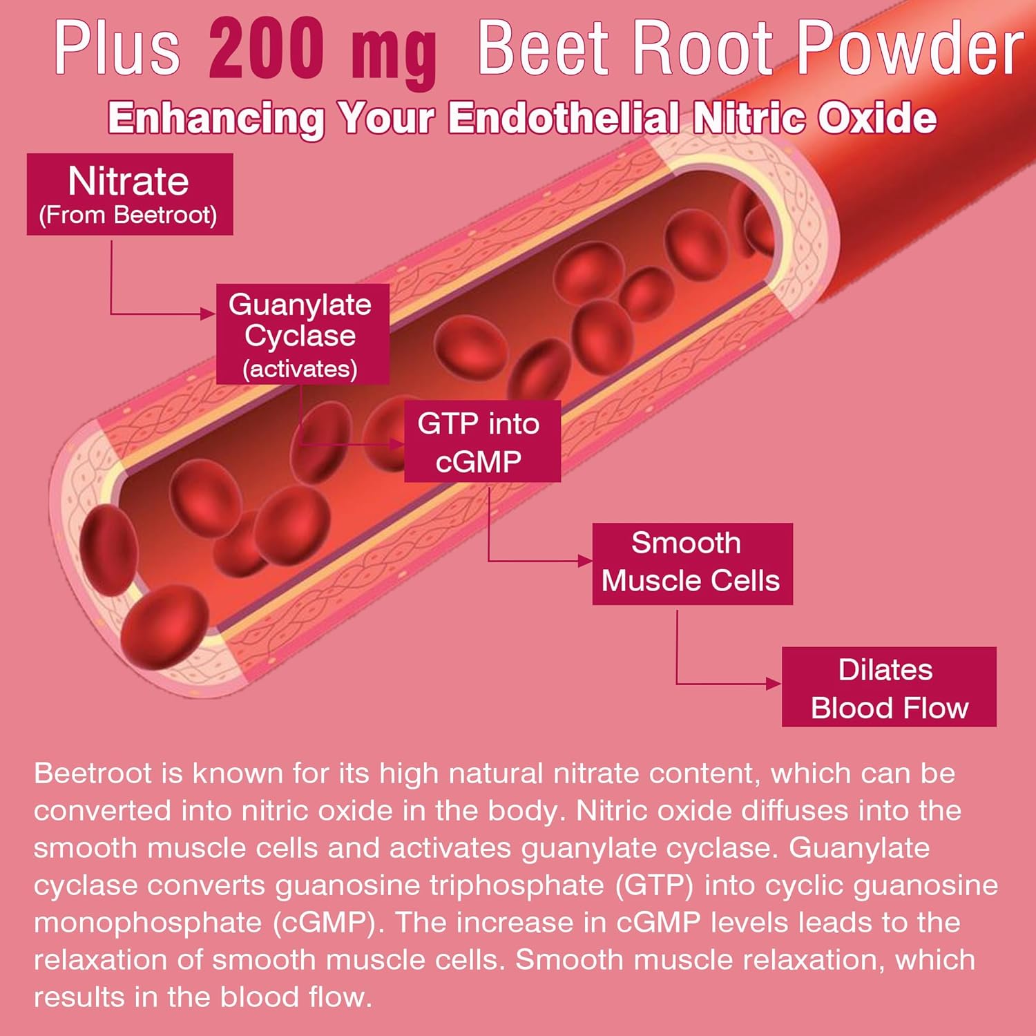 Beet Root Gummies with Iron, Methyl B12, Folate, Vitamin C - Increase Nitric Oxide & Iron Levels, Energy Support, Fight Fatigue, Beetroot & Gentle Iron Supplement, Sugar Free, 120 Count