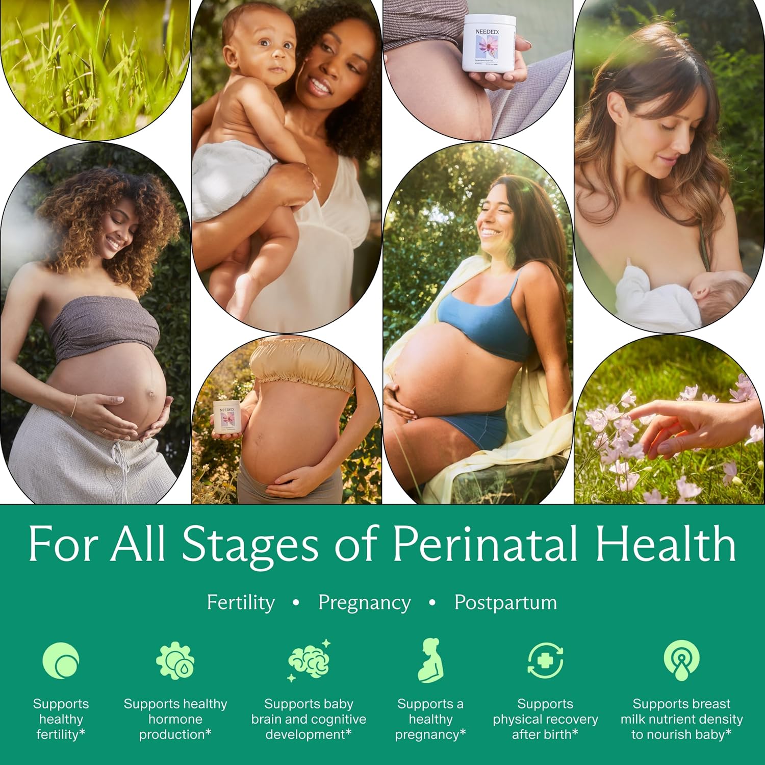 Needed. Multivitamin for Prenatal | Prenatal Multi Essentials Capsule - Pregnancy, Breastfeeding, Postpartum | Expertly-Formulated & Third-Party Tested, | 30-Day Supply
