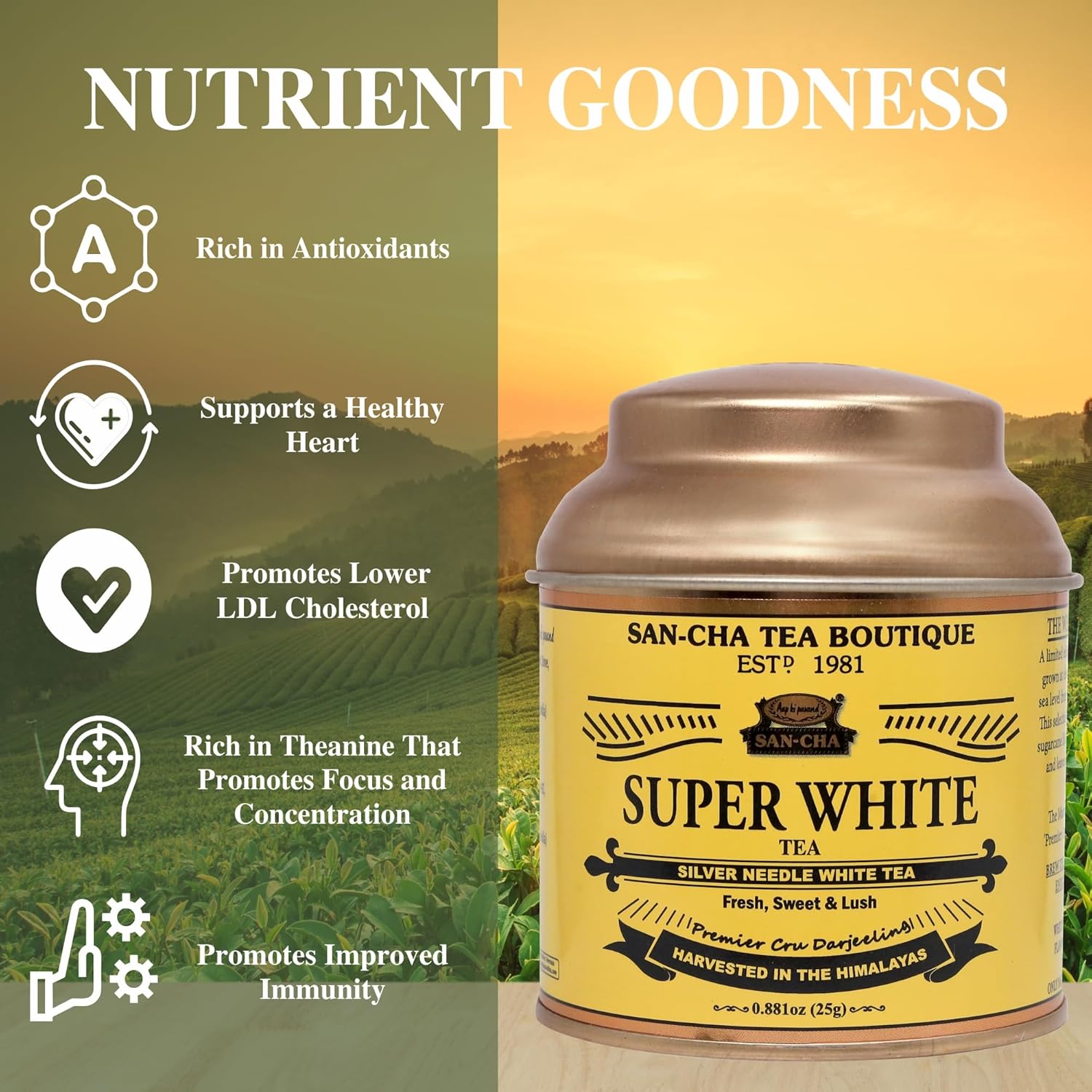 Sancha Tea Boutique Super White Tea | Silver Needle White Tea | 25g Loose Leaves from Darjeeling | Rich in Antioxidants | Sweet & Delicate Luxury Tea
