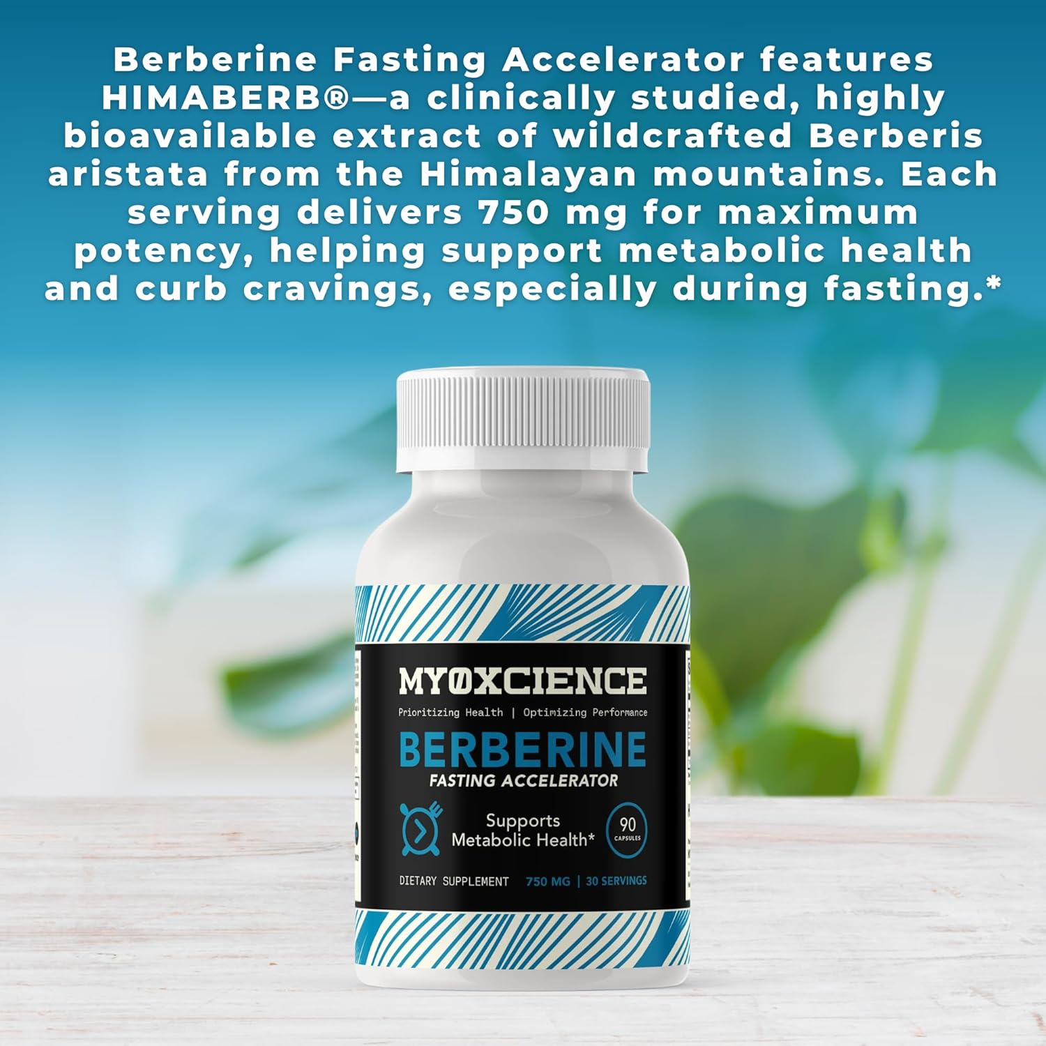 MYOXCIENCE Berberine Fasting Accelerator | Himaberb Berberine HCL with ALA (Alpha Lipoic Acid) and Biotin (90 Capsules)