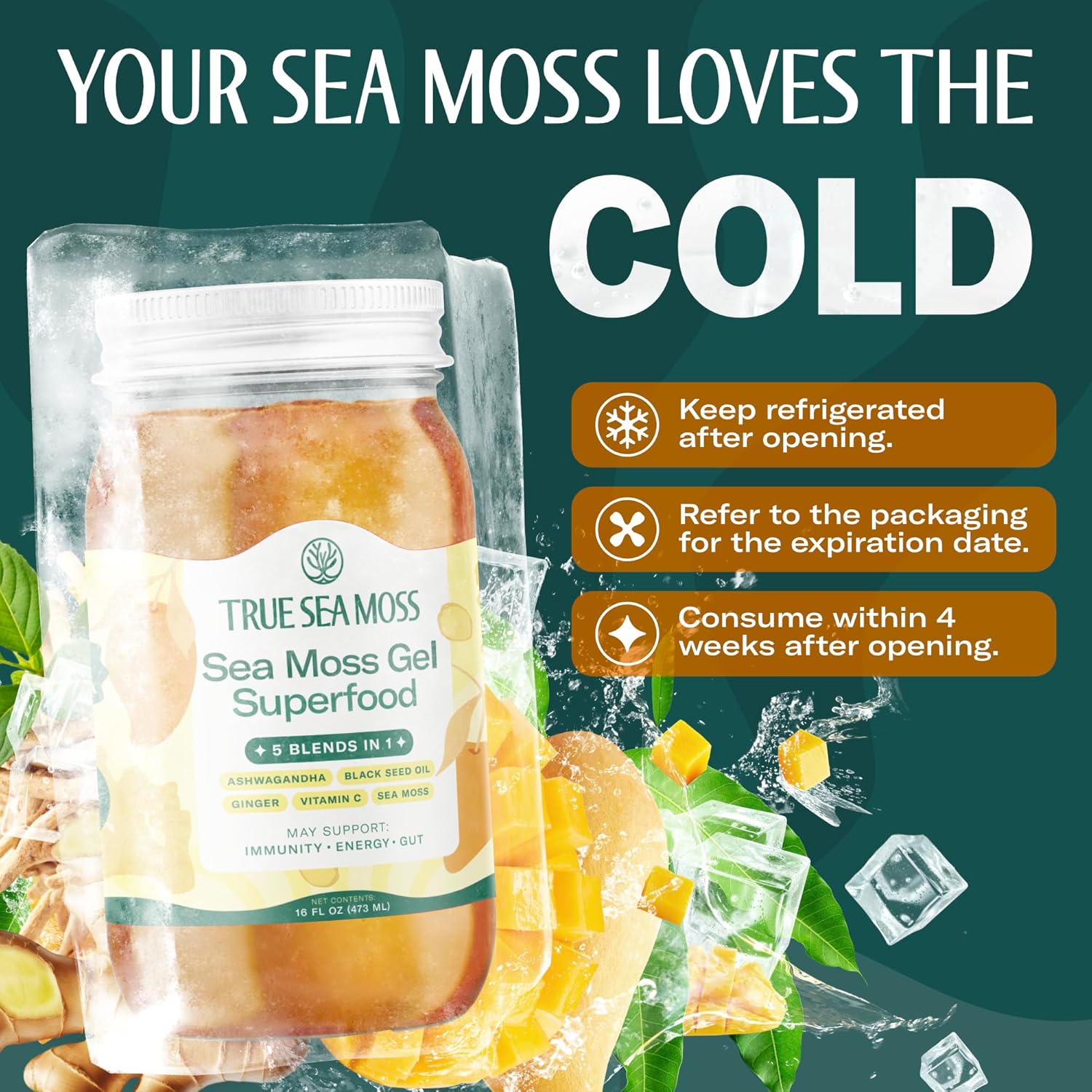 TrueSeaMoss Sea Moss Gel – Made in USA – 5-in-1 Formula – Wildcrafted Seamoss, Ashwagandha & Sea Vegetables – Ashwagandha, Pack of 2 (Labels may Vary)