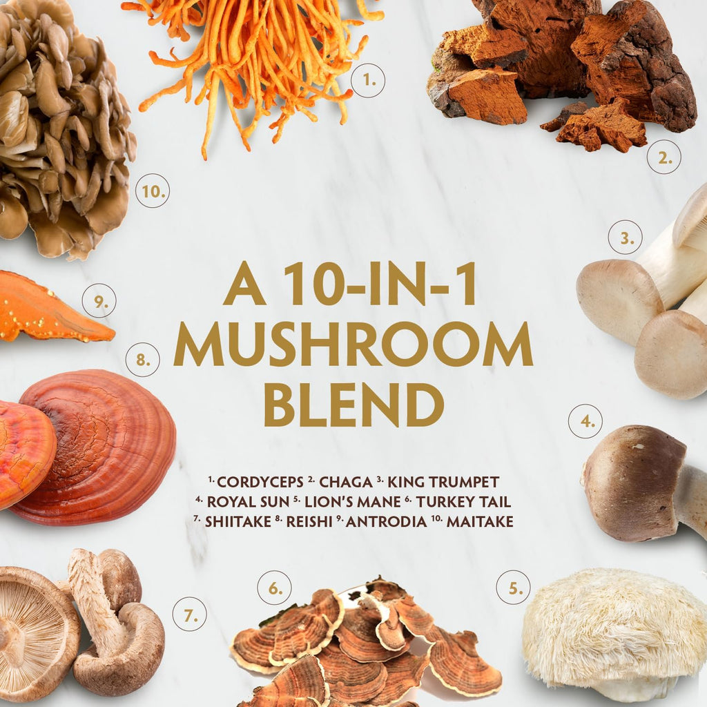 TRIBE ORGANICS Mushroom Golden Blend Vegan Capsules Supplement - Adaptogenic Mushrooms Powder Immune Support Supplement - 10-in-1 Mushrooms for Immunity Support & Brain Health - 90 Count 30 Servings
