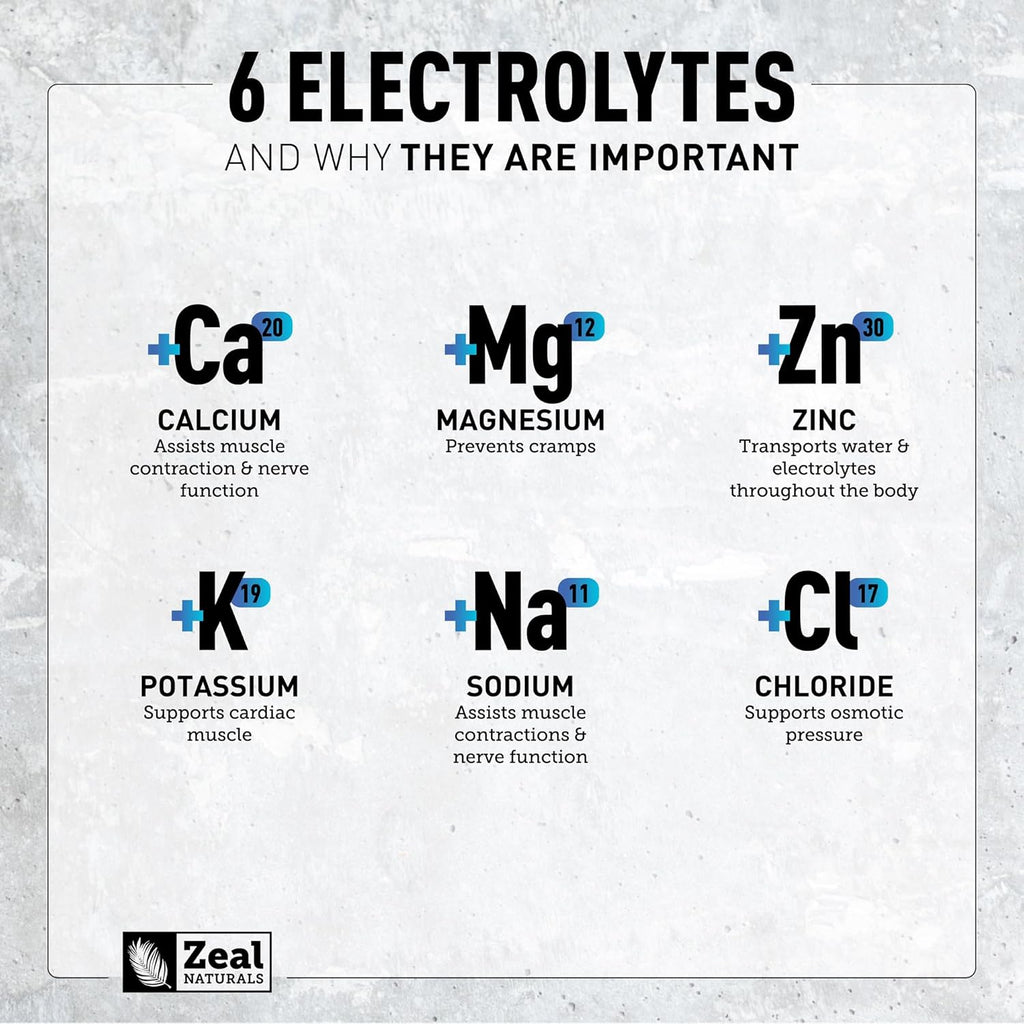 Zeal Electrolyte Powder - 90 Servings | Keto Electrolytes Powder | Zero Sugar, BCAAs, B-Vitamins | Potassium, Zinc, Magnesium | Hydration Powder Recovery Drink | Blue Raspberry