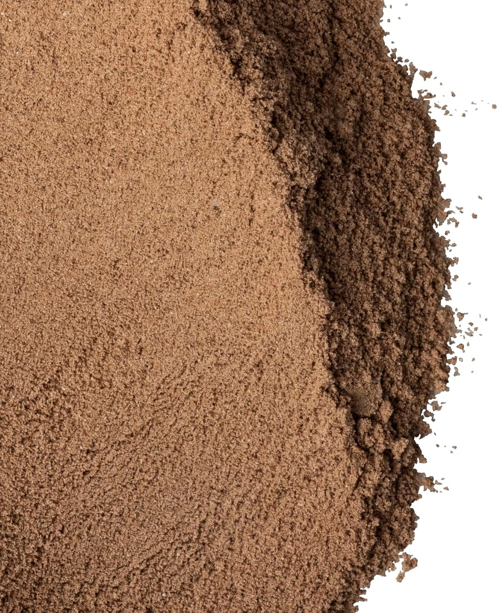 Amy Myers MD Paleo Protein Powder - Double Chocolate, 20 Servings - Collagen-Based Gut Function Support - Gluten-Free & Non-Dairy Protein Supplement