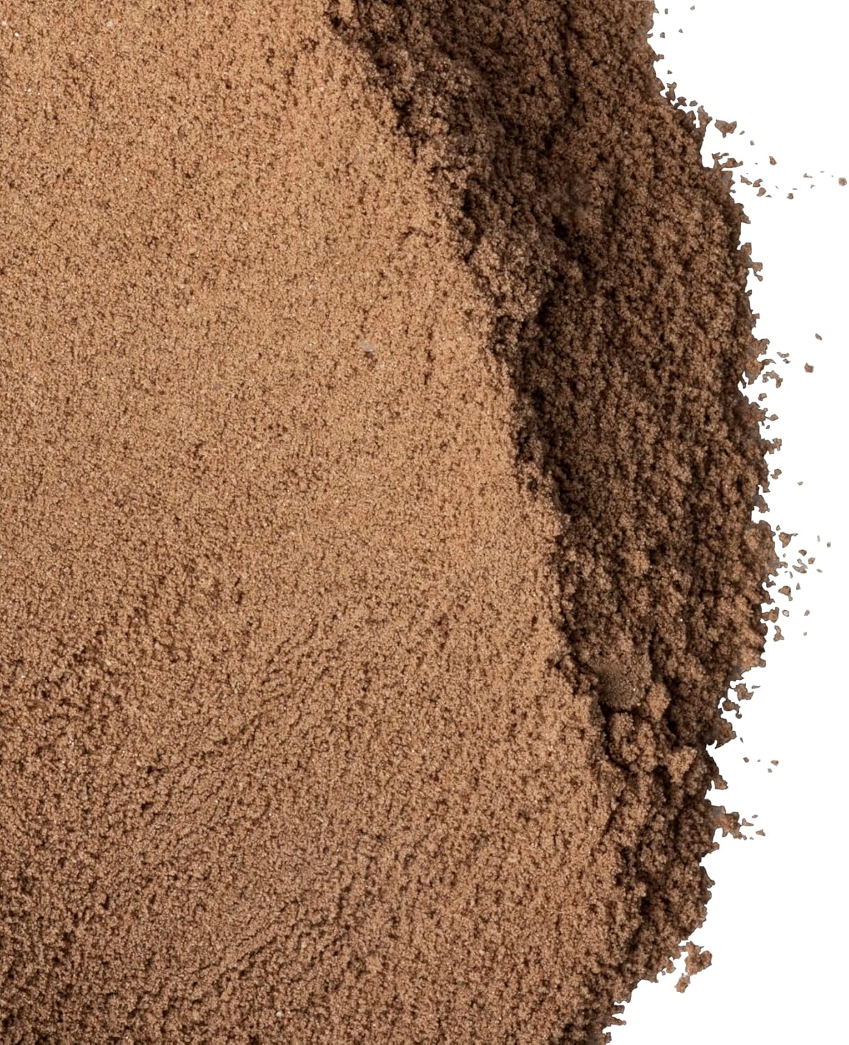 Amy Myers MD Paleo Protein Powder - Double Chocolate, 20 Servings - Collagen-Based Gut Function Support - Gluten-Free & Non-Dairy Protein Supplement