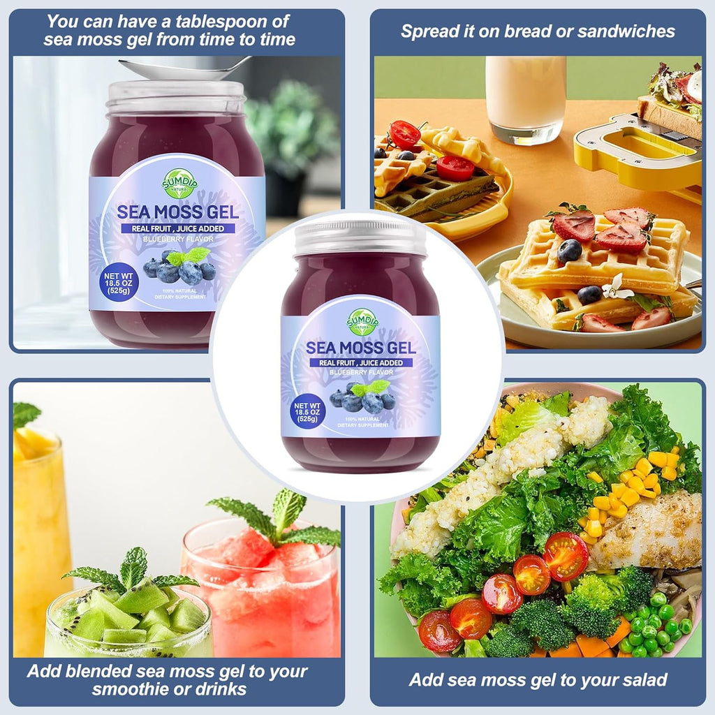 Sea Moss Gel, 18.5OZ Raw Flavored Irish Seamoss Gel Immune and Digestive Support Vitamin Mineral Supplements, Blueberry