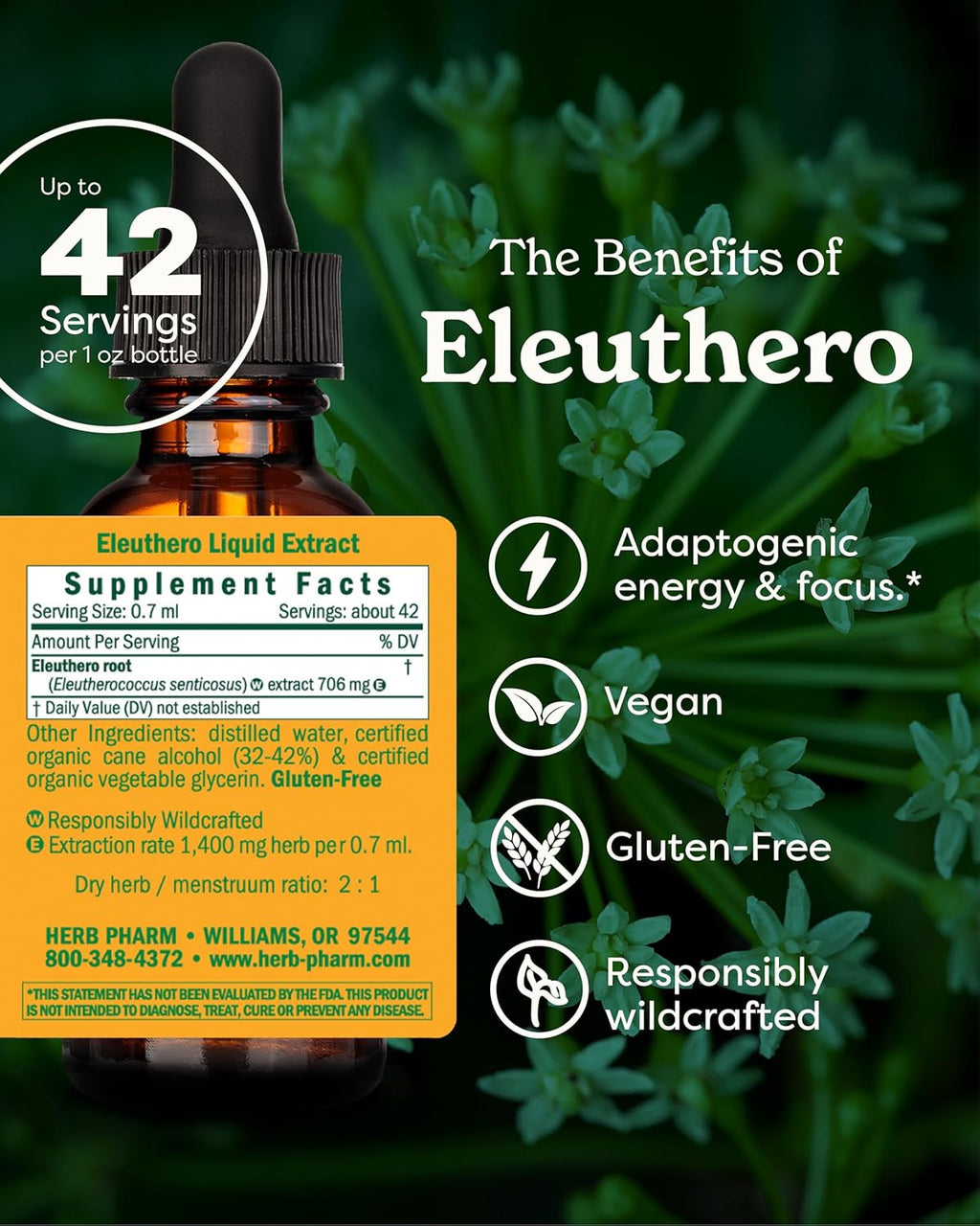 Herb Pharm Eleuthero Root Liquid Extract for Energy and Stamina, Cane Alcohol, 1 Ounce