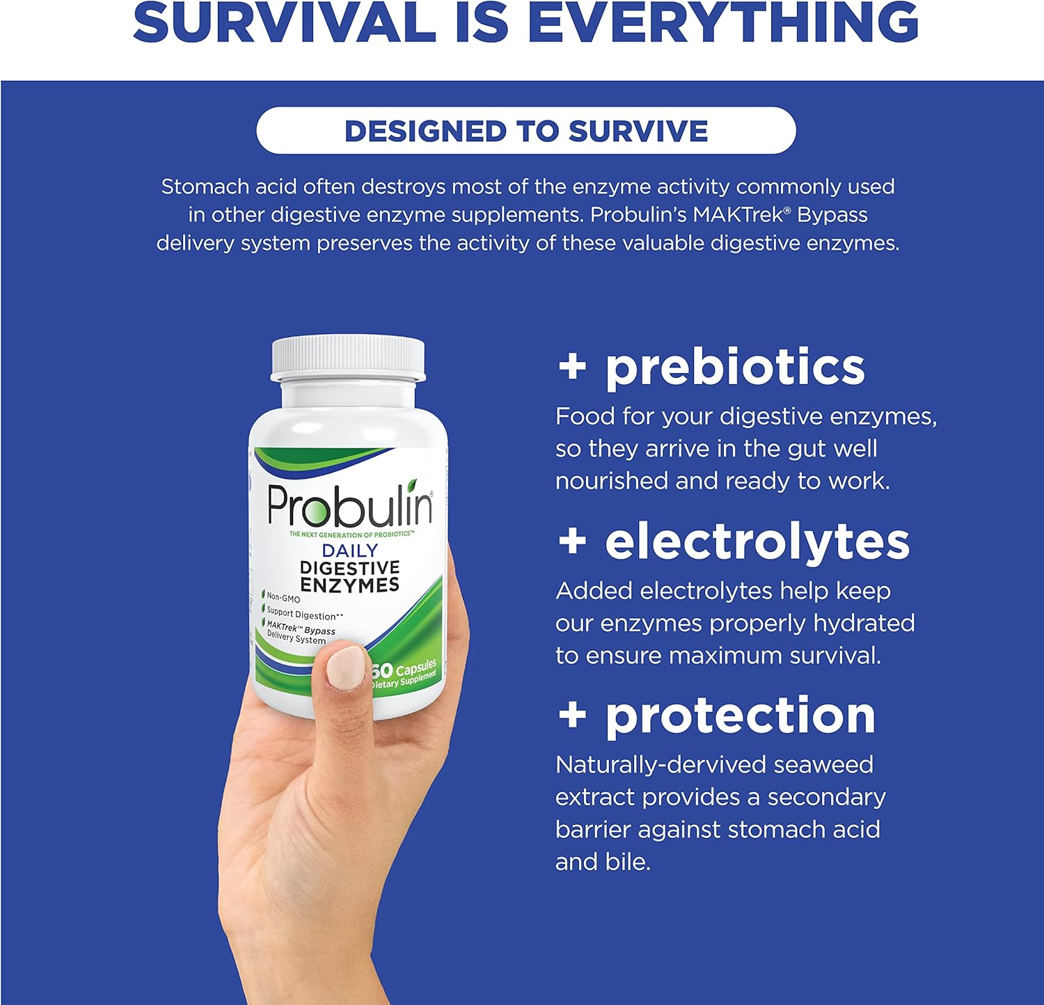 Probulin Daily Digestive Enzymes, 90 Capsules