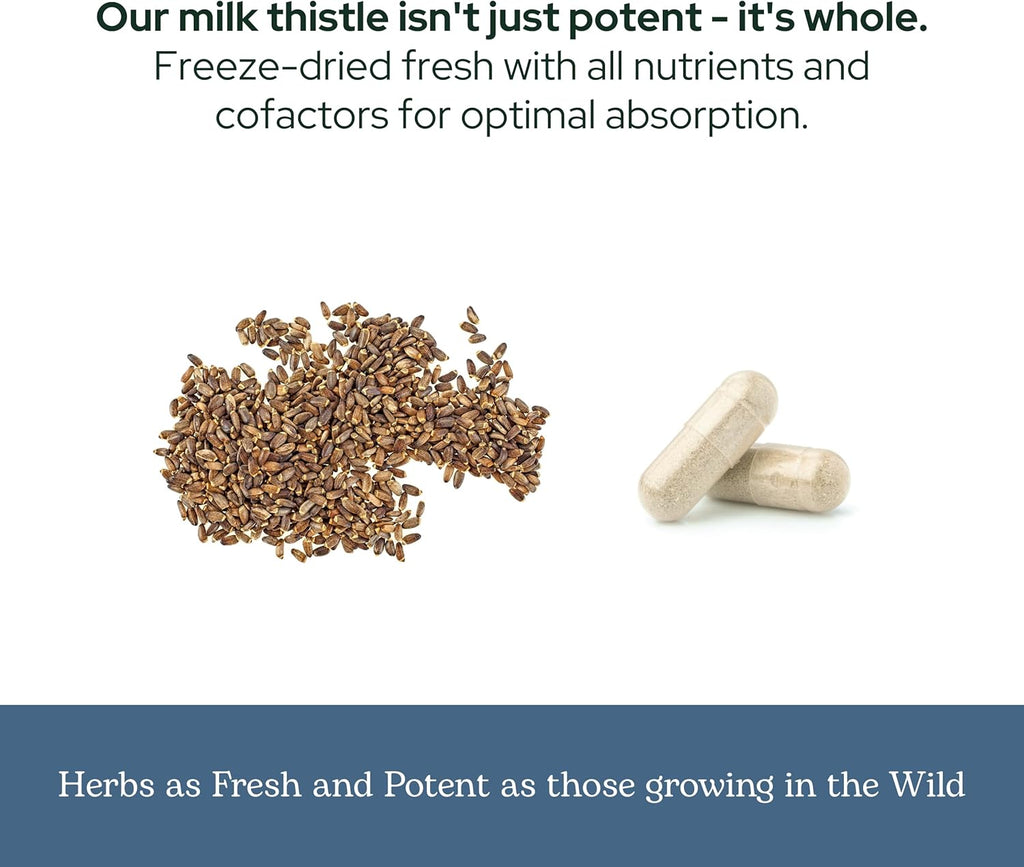 Eclectic Herb - Premium Freeze Dried Milk Thistle Capsules | Dietary Supplement | Liver Support, Detox, Cleanse + Maintain | Natural, Non-GMO, Vegan (120 CT | 600 mg)