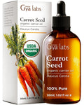 Gya Labs Organic Carrot Seed Oil for Hair & Skin - 100% Pure Natural Unrefined Carrot Carrier Oil for Face and Lip Care, Scalp & Body Massage (1 Fl Oz)