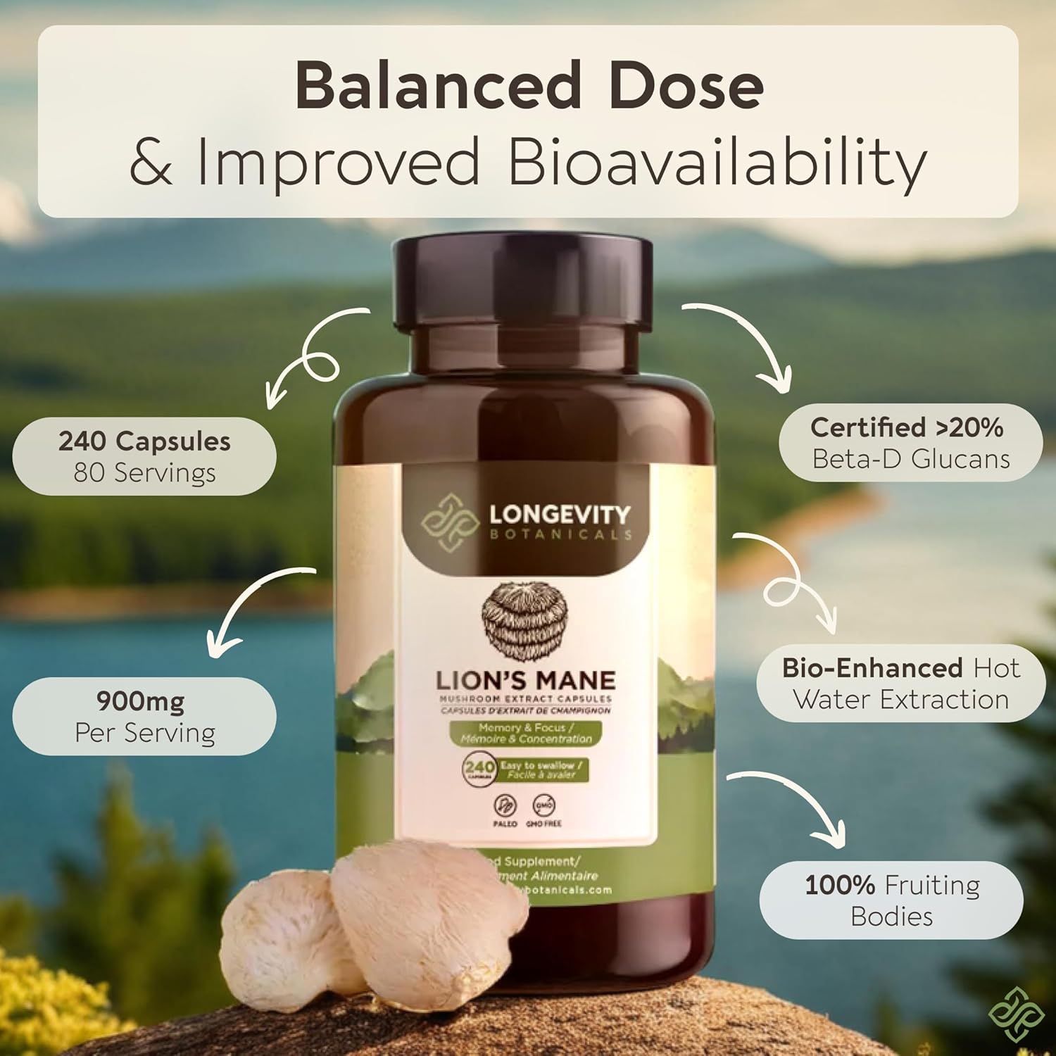 Longevity Botanicals Lion’s Mane Mushroom Extract Capsules (240) | Concentrated 8:1 Ratio | 100% Fruiting Bodies | Hericium Erinaceus Nootropic Supplement for Focus, Memory & Brain Support