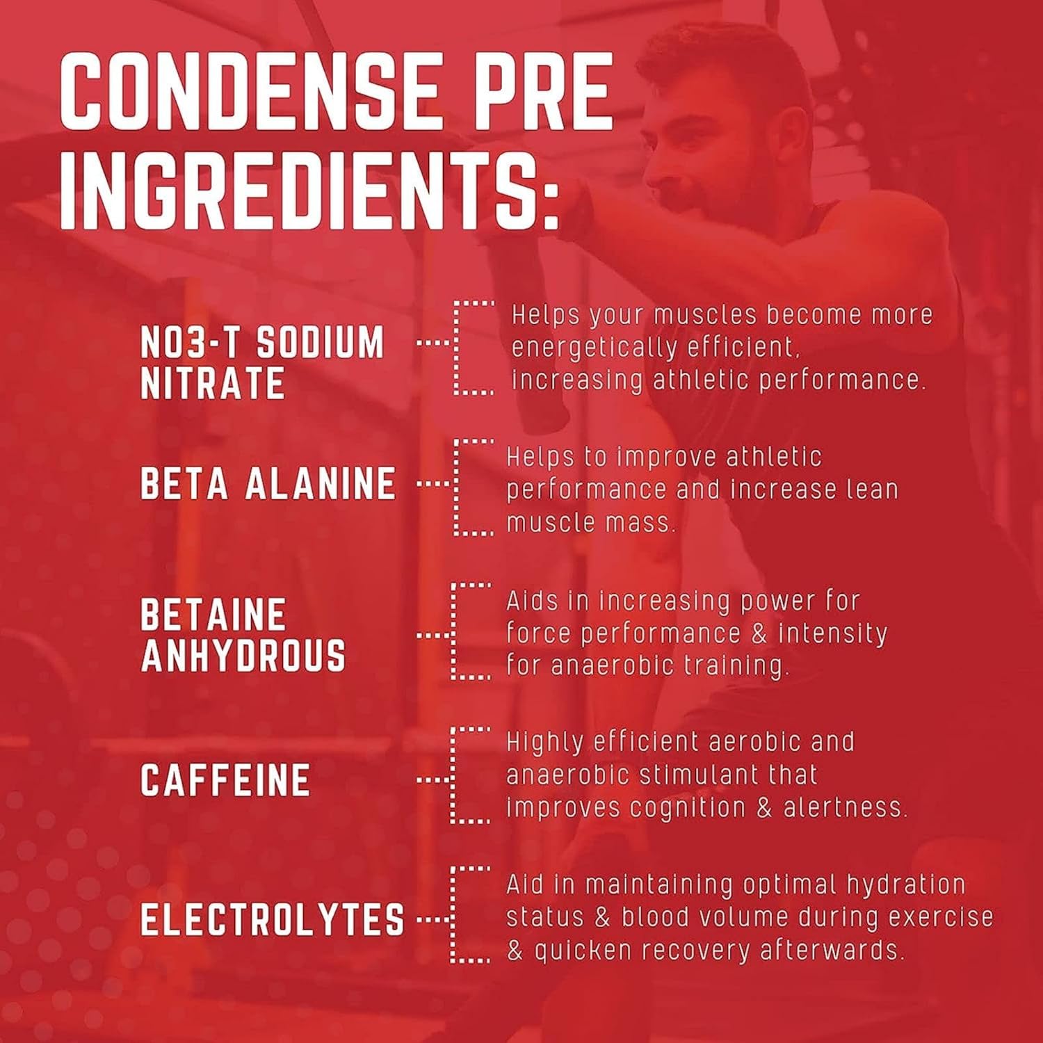 Purus Labs CONDENSE PreWorkout Powder, 40 Servings (Melonberry Cooler)