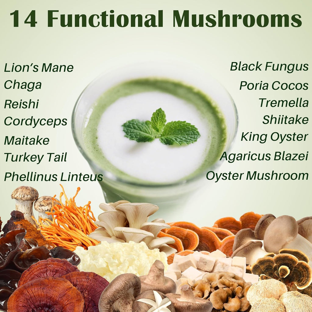 Mushroom Matcha, Green Tea Matcha Powder, 22 Servings,14 Mushroom Supplement, Magnesium Glycinate, L-Theanine, Probiotics | Focus & Immunity Support | Vegan, Gluten-Free, 6.35 Oz
