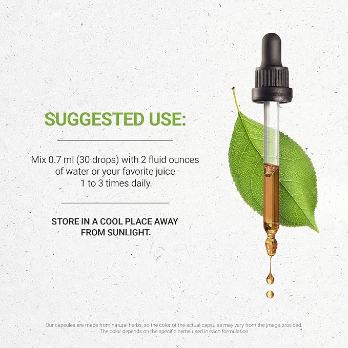 Secrets of the Tribe Chaparral Alcohol-Free Liquid Extract, Chaparral (Larrea tridentata) Dried Leaf and Flower Tincture Supplement (4 FL OZ)