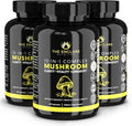 THE ENCLARE NUTRITION Mushroom Supplement - 10in1 Complex Immune Support, Energy, Nootropic Brain, Immunity Booster Lions Mane,Reishi,Turkey Tail,Cordyceps,Chaga,Maitake,Shiitake,Agaricus(3)