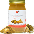 Healthy Herbs Sea Moss Gel (Yellow Dock) Wildcrafted from Jamaican St Lucia Gold Seamoss | Wild-Harvested Superfood With Over 90 Essential Vitamins & Minerals | Vegan, Non-GMO, US-Made (16 oz.)