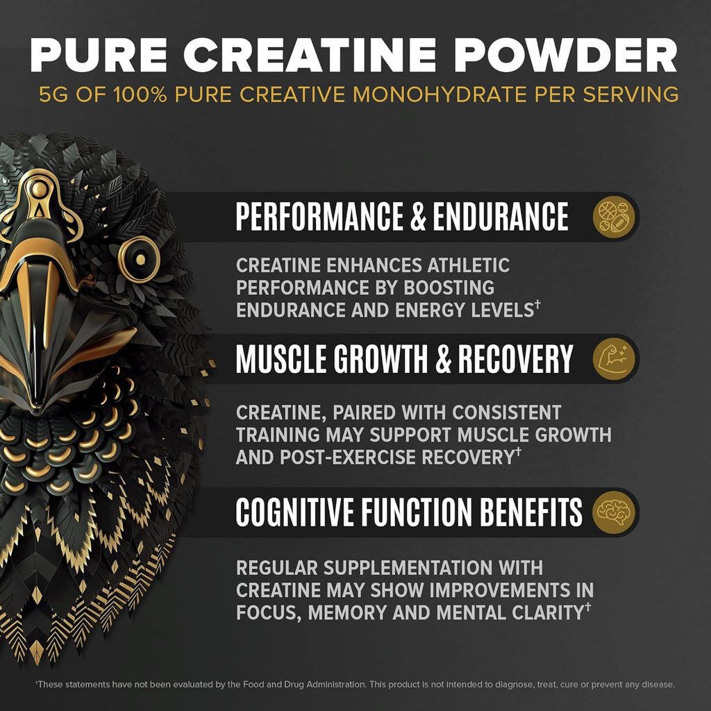 Falcon Performance Vegan Protein Powder, 31g Protein, 5g Creatine, 5g BCAA, Probiotics, Electrolytes, Pre Workout, Low Carb, Sugar Free & Dairy Free, Plant Based Vanilla Protein, 29 Servings