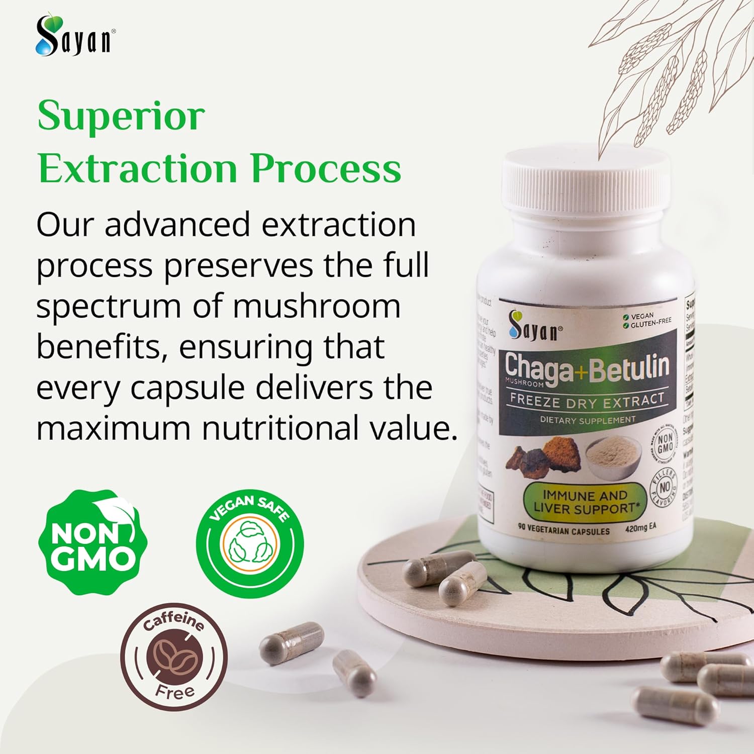 Sayan Siberian Chaga Mushroom Extract with Betulin – 90 Capsules/440mg ea – Wild-Harvested Antioxidant Blend – Immune System Support & Regulate Body Functions – Vegan, Non-GMO, No Fillers or Additives