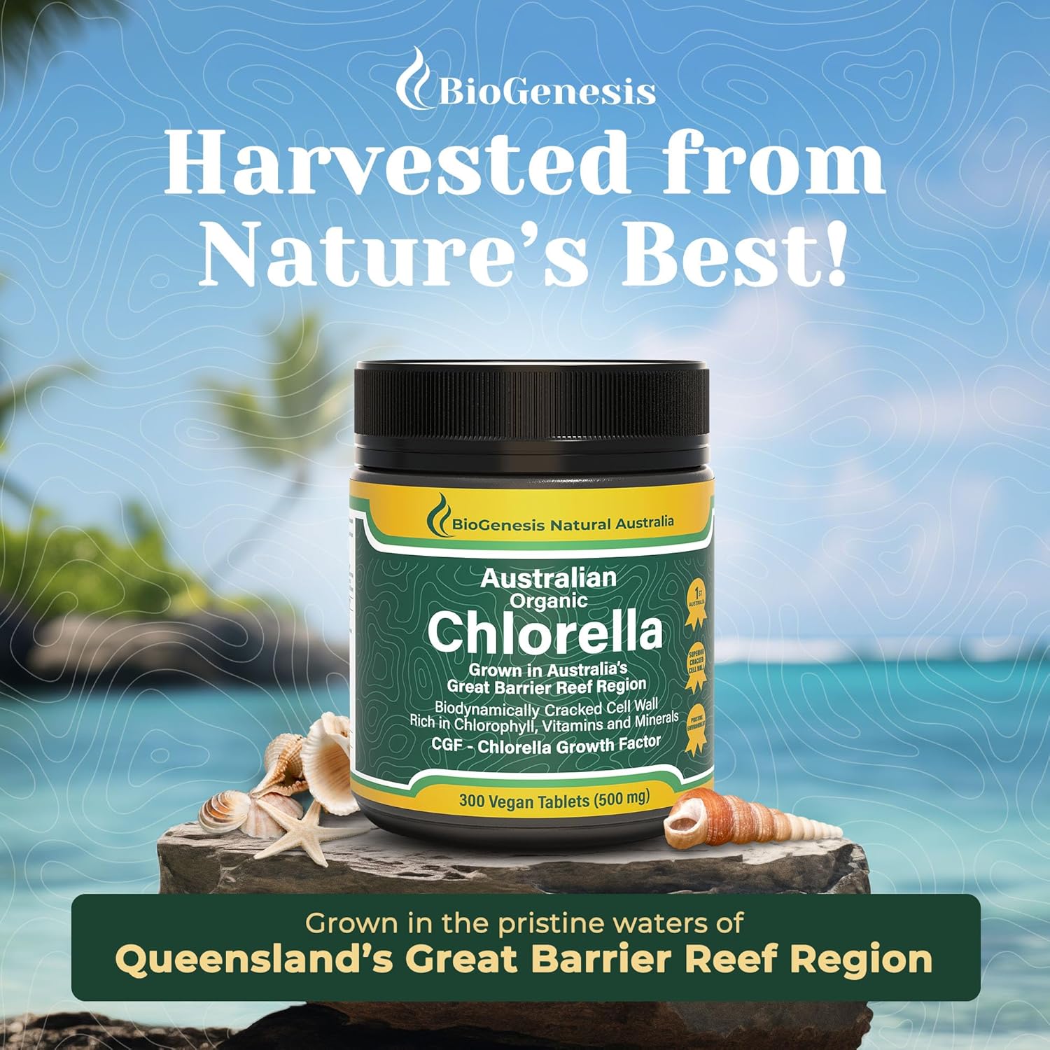 Biogenesis Organic Chlorella Tablets – 300 Count (500mg) | Australian Grown | BioDynamic Cracked Cell Wall | Rich in Chlorophyll, Vitamins & Minerals | Supports Energy& Immunity | Vegan Tablet