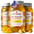 TrueSeaMoss Sea Moss Gel – Made in USA – Wildcrafted Seamoss, Fresh Fruits & Sea Vegetables – Mango/Pineapple, Pack of 3 (Labels may Vary)