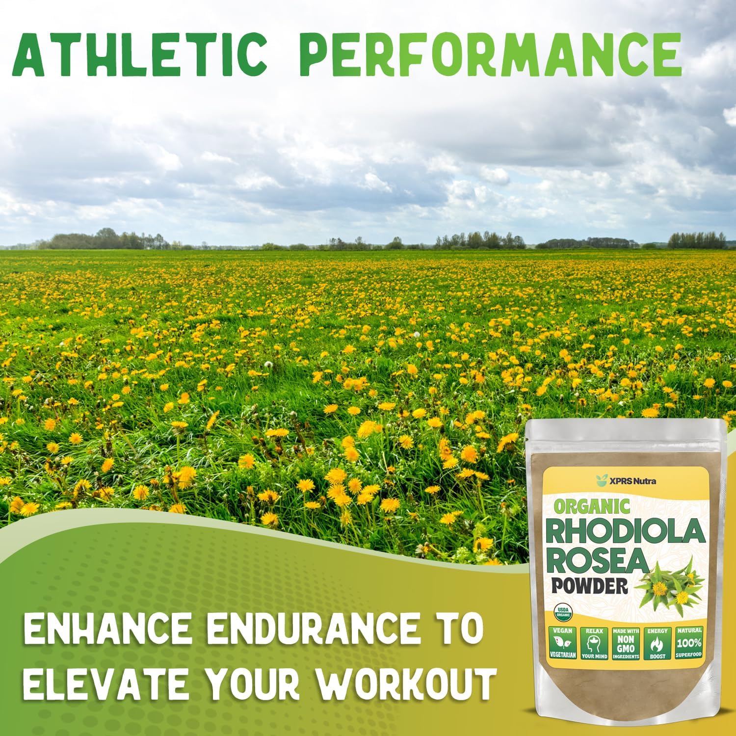 XPRS Nutra Organic Rhodiola Rosea Powder - Premium USDA Organic Rhodiola Powder for Cognition and Relaxation - Vegan Friendly Energy Booster (2 oz)