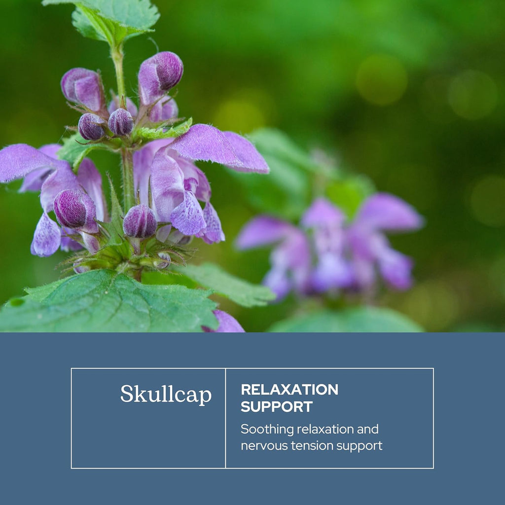 Eclectic Herb - Skullcap Capsules | Natural Sleep, Calm & Relaxation Support | Herbal Supplement | Vegan, Non-GMO, Gluten Free, Raw, Freeze-Dried (90 CT | 350 mg)