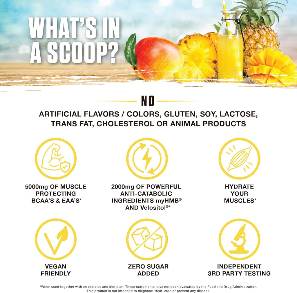 Ambrosia Hydroglyph Intraworkout Electrolytes Hydration Drink Mix | Sugar Free Electrolyte Powder with Amino Acids | Supports Lean Muscle During Fasting | 30 Servings | Pineapple Mango
