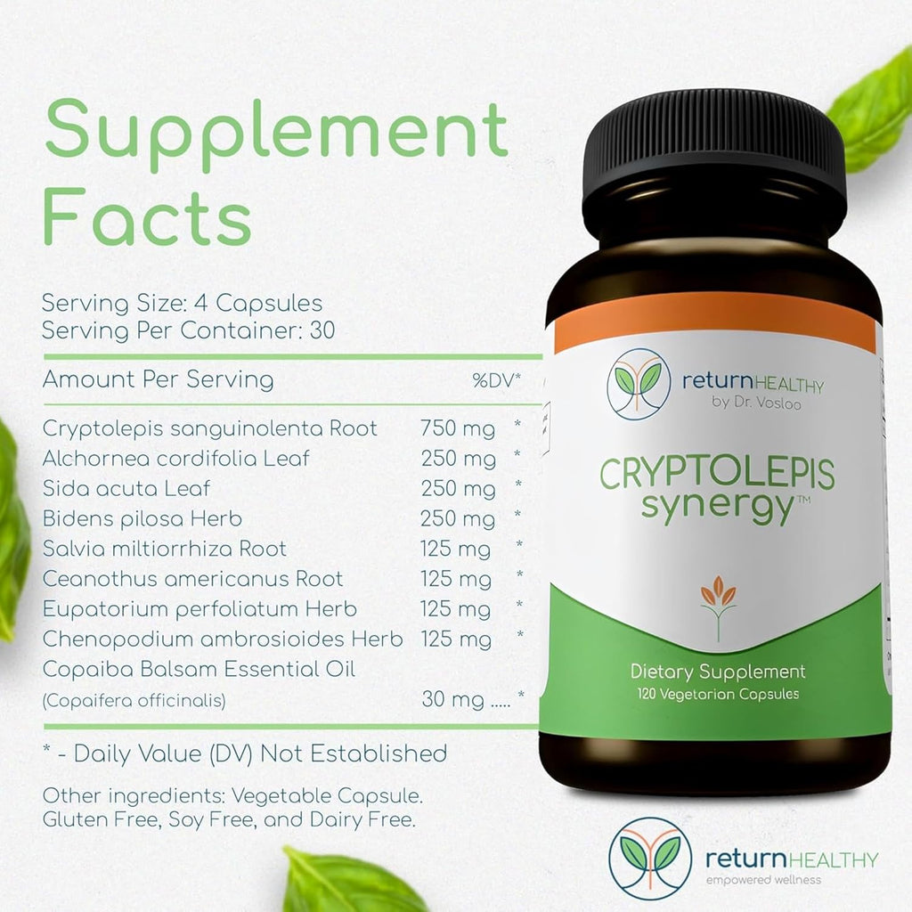 Cryptolepis Synergy, Immune Support Vitamins, Immune System Booster for Adults, Liver, Lymphatic, & Immune Support Supplement, Supports Lyme & Natural Parasite Defense, 120 Capsules, 3 Pack