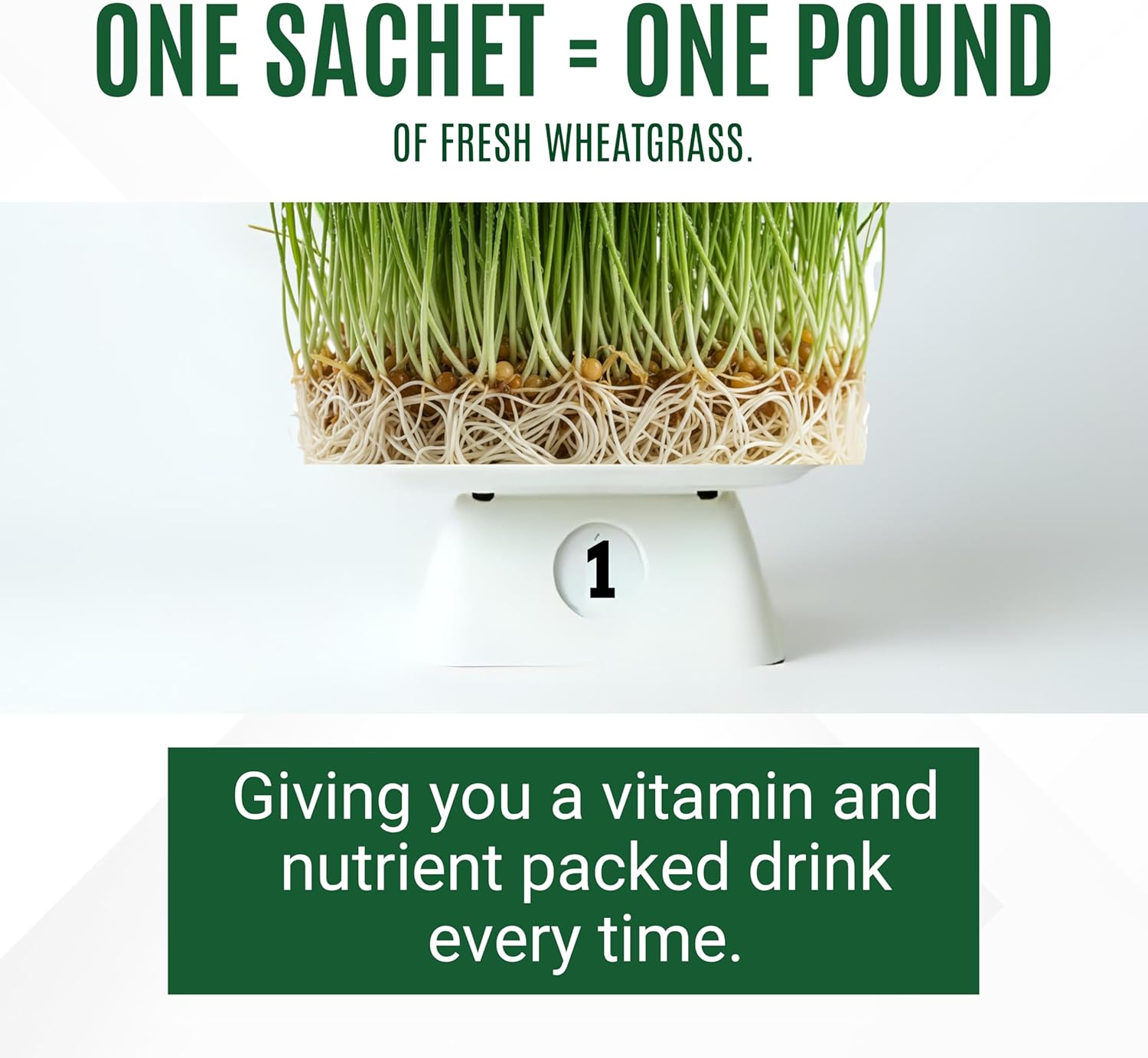 Organic Wheatgrass Powder – 100% Whole Plant with Leaves & Roots | Cold-Processed for Nutrient Retention, 100+ Vitamins, Amino Acids & Enzymes | Non-GMO & Soil-Free | 66 Travel-Ready Sachets