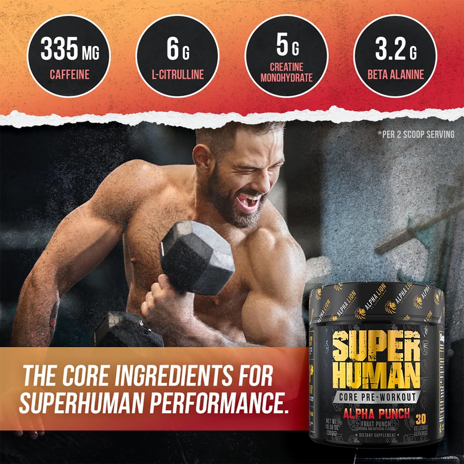 ALPHA LION Core Pre Workout Powder with Creatine for Performance, Beta Alanine for Muscle, L-Citrulline for Pump & Tri-Source Caffeine for Sustained Energy (30 Servings, Fruit Punch Flavor)