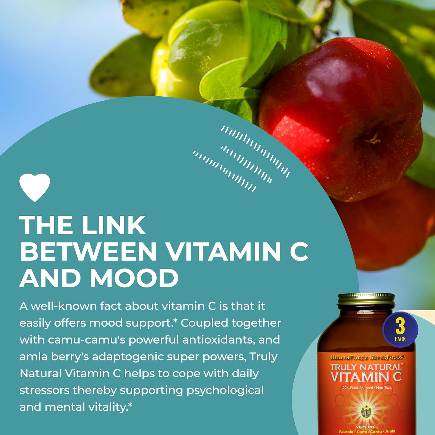 HEALTHFORCE SUPERFOODS Truly Natural Vitamin C - Immune Support Supplement with Camu Camu Berry - Vitamin C Supplement for Immune Health - Vegan, Non-GMO - 400 Grams, 67 Servings (Pack of 3)