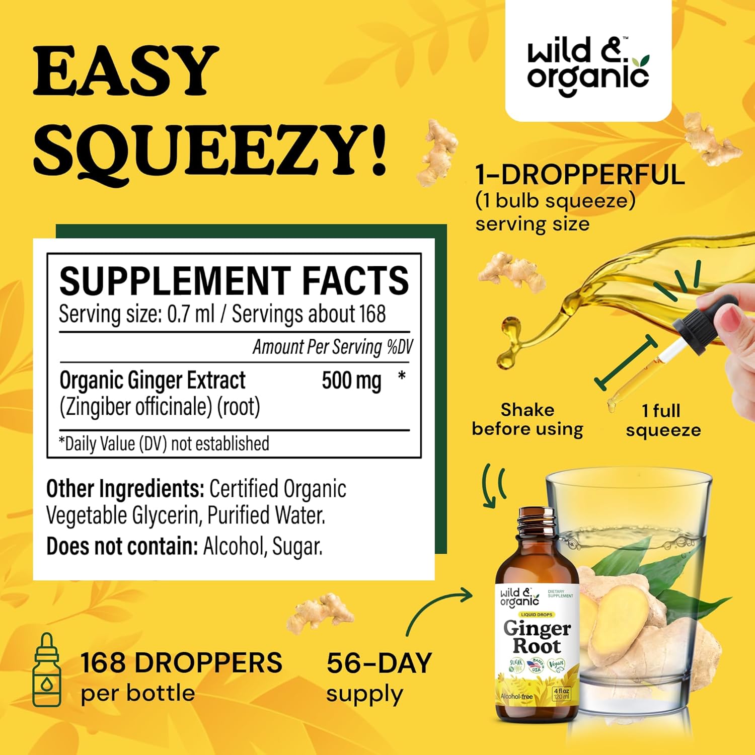 Wild & Organic Ginger Root Extract Drops - Immune & Digestive Support - Liquid Ginger Supplements - Vegan, Sugar & Alcohol-Free Tincture - 4 fl oz