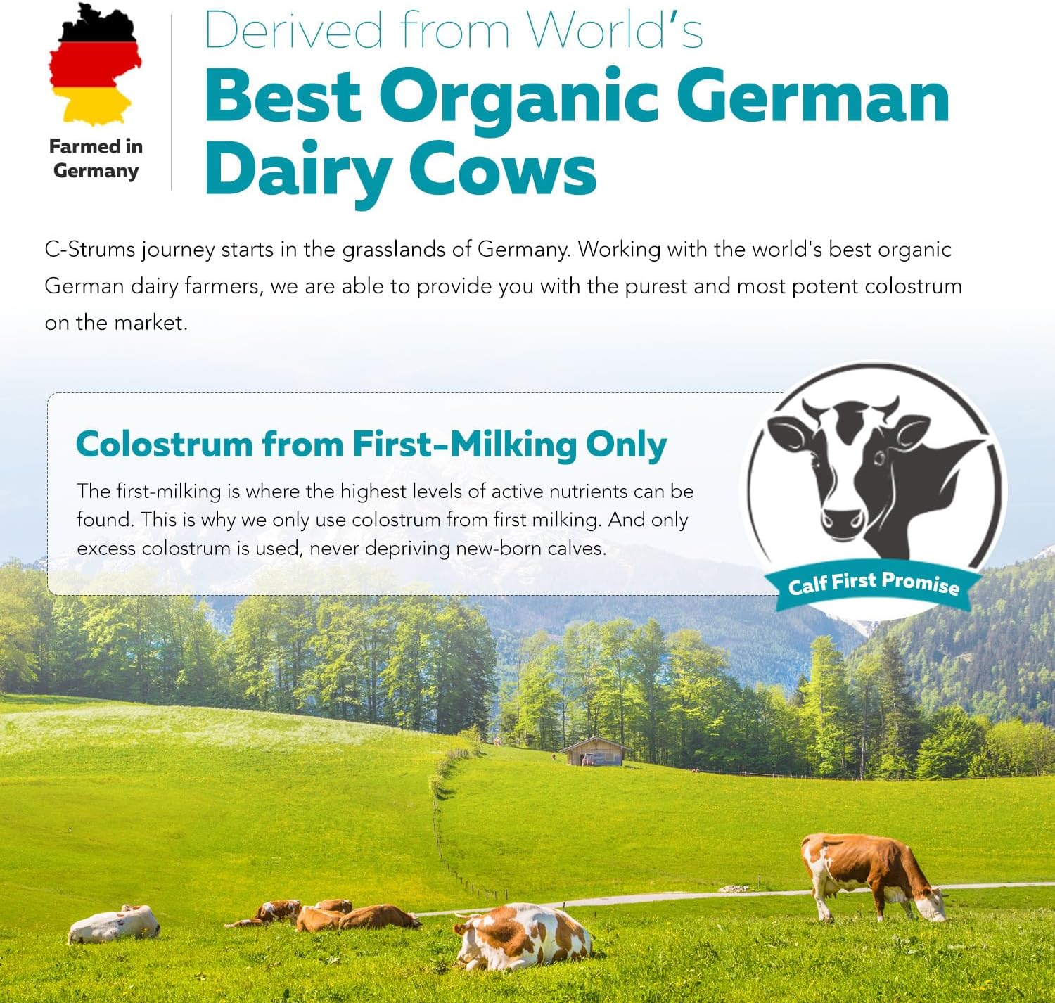 C-Strum® Organic Bovine Colostrum Powder, 60% igG, First Milking, Grass Fed, Max Strength Colostrum Supplement from German Dairy Cows - Gut, Immunity, Skin & Hair Support (60 servings)