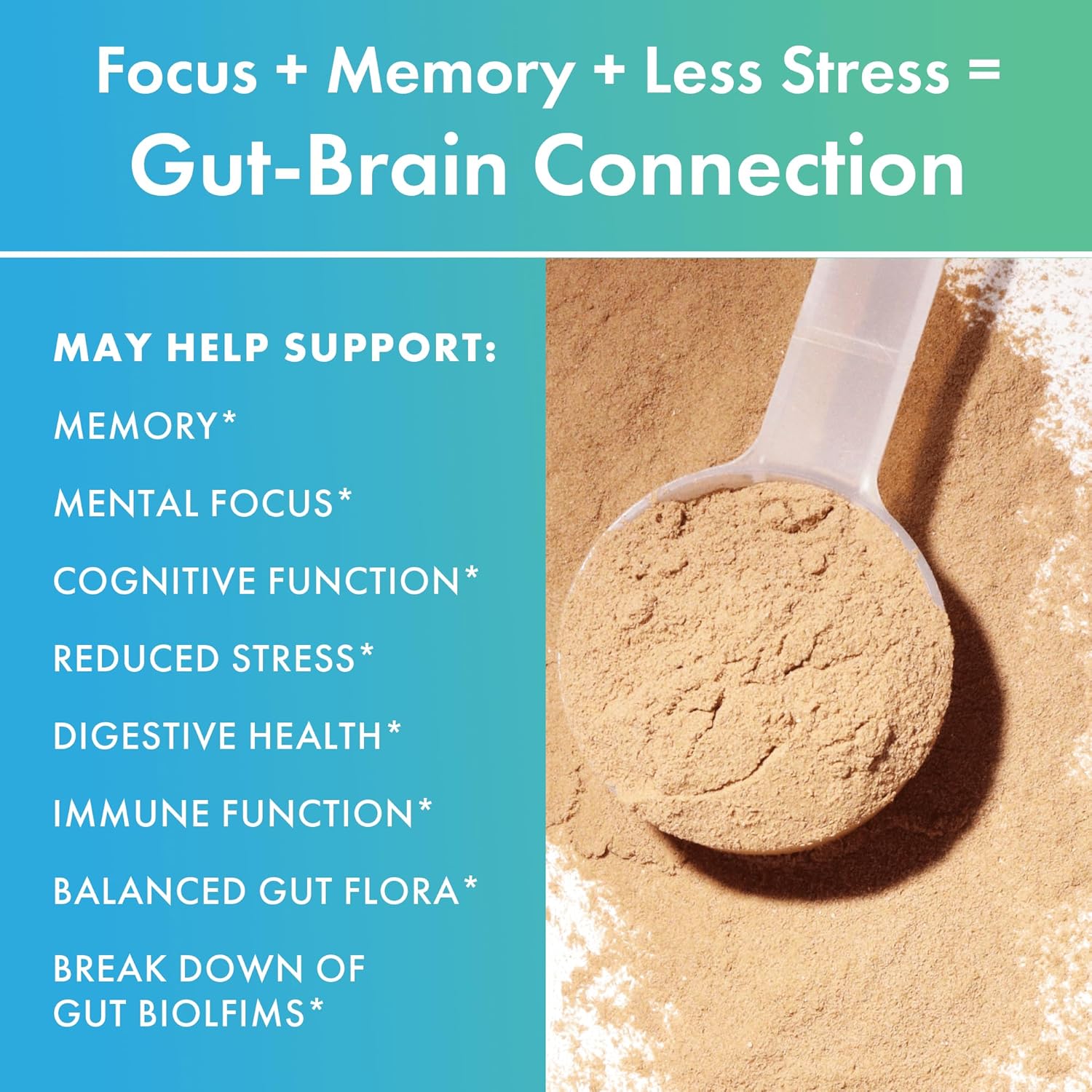 BIOHM Gut-Brain Connection Memory & Focus Supplement (6.74 Oz, 30 Servings) Supports Gut Health & Cognitive Well-Being, Helps Enhance Mood, Probiotics, Lion's Mane & Bacopa Monneiri, Chocolate Flavor