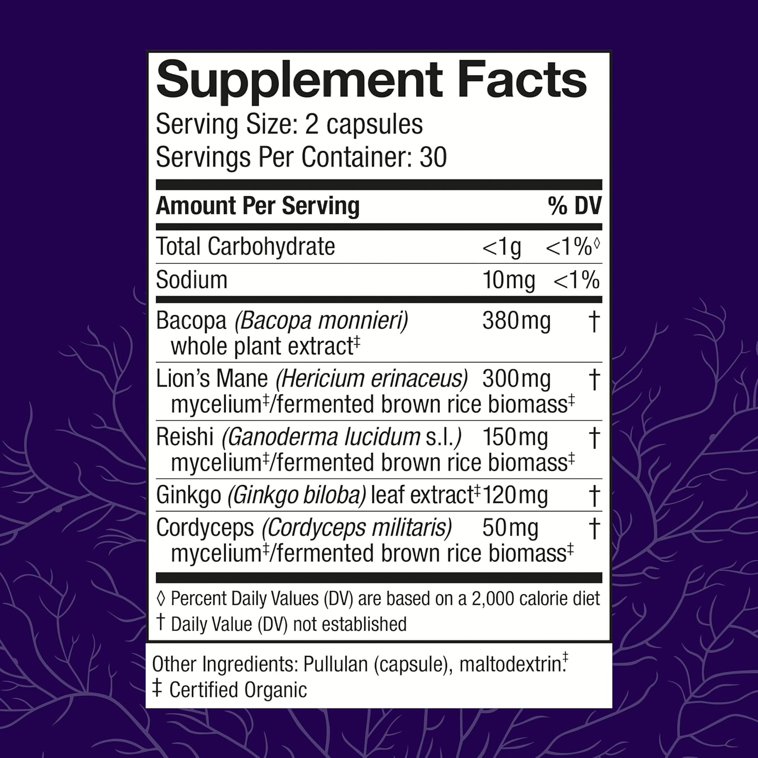 Host Defense MycoBotanicals Brain* Capsules - Brain Support Supplement with Lion's Mane, Reishi & Cordyceps Mushroom - Herbal Supplement for Memory & Focus Support - 60 Capsules (30 Servings)*