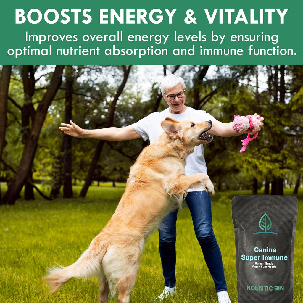 HOLISTIC BIN Canine Super Immune Support - Dog Multivitamins & Supplements with Beet, Chlorella, Mushroom Complex (Reishi, Maitake, Turkey Tail) - for Immune Function & Overall Health - 100g Powder