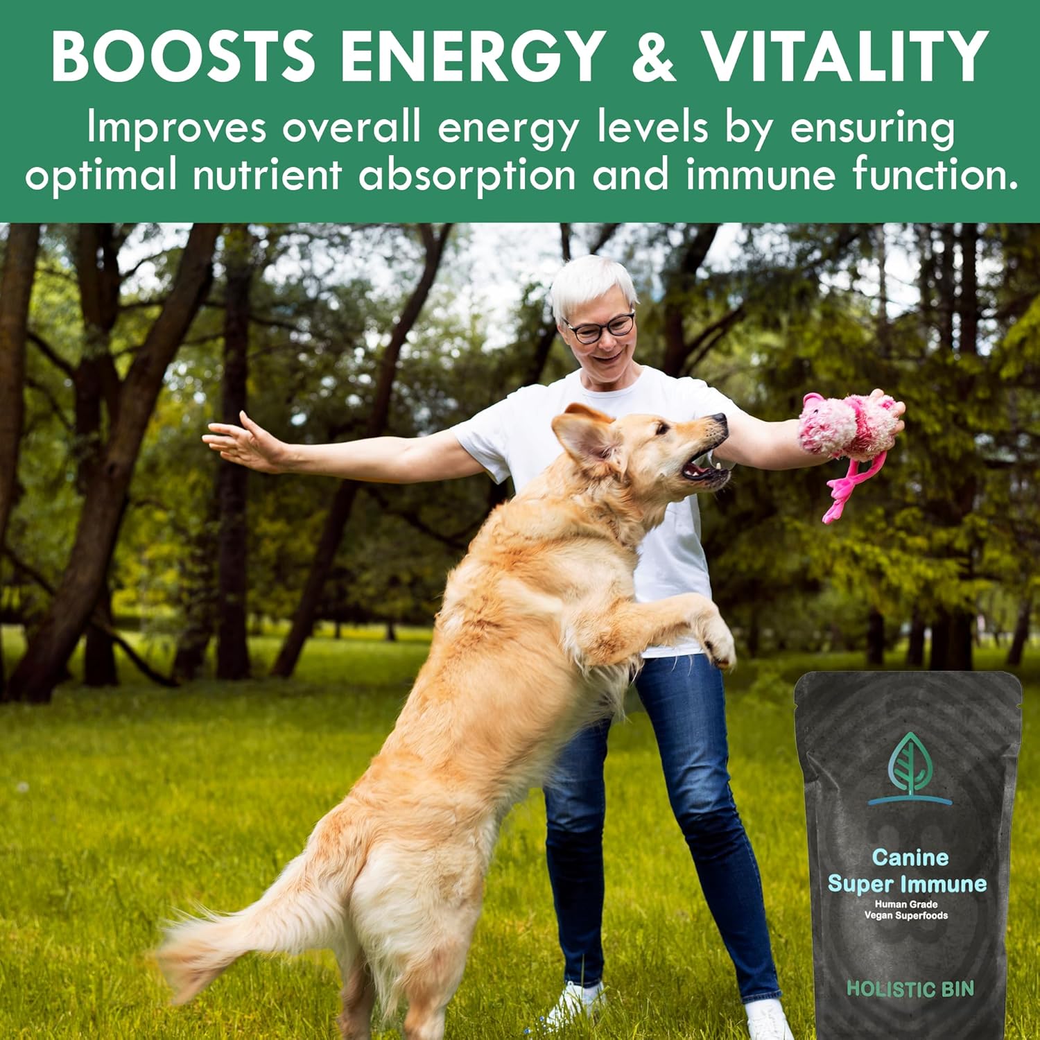 HOLISTIC BIN Canine Super Immune Support - Dog Multivitamins & Supplements with Beet, Chlorella, Mushroom Complex (Reishi, Maitake, Turkey Tail) - for Immune Function & Overall Health - 100g Powder